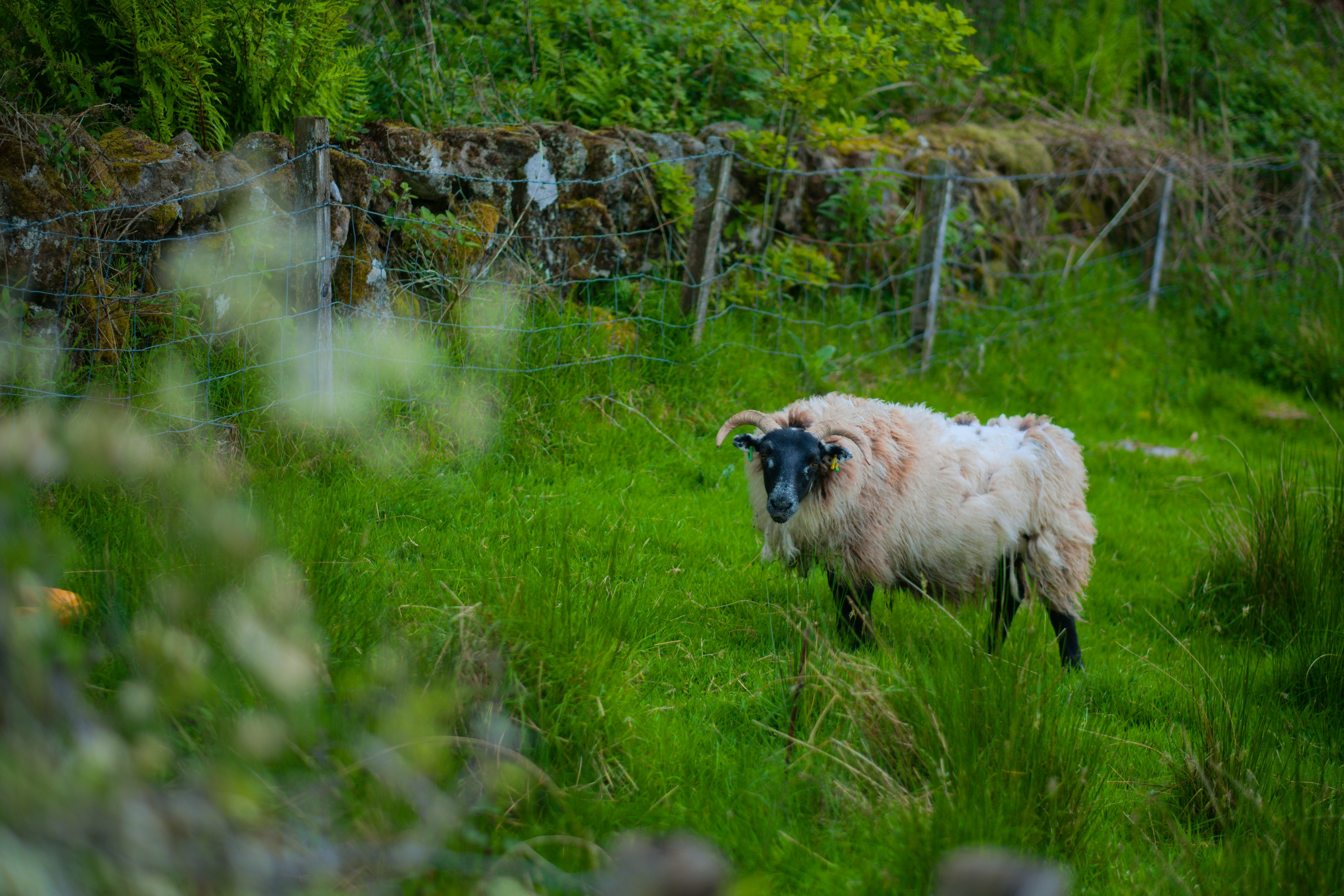 Photo by zaralazarov