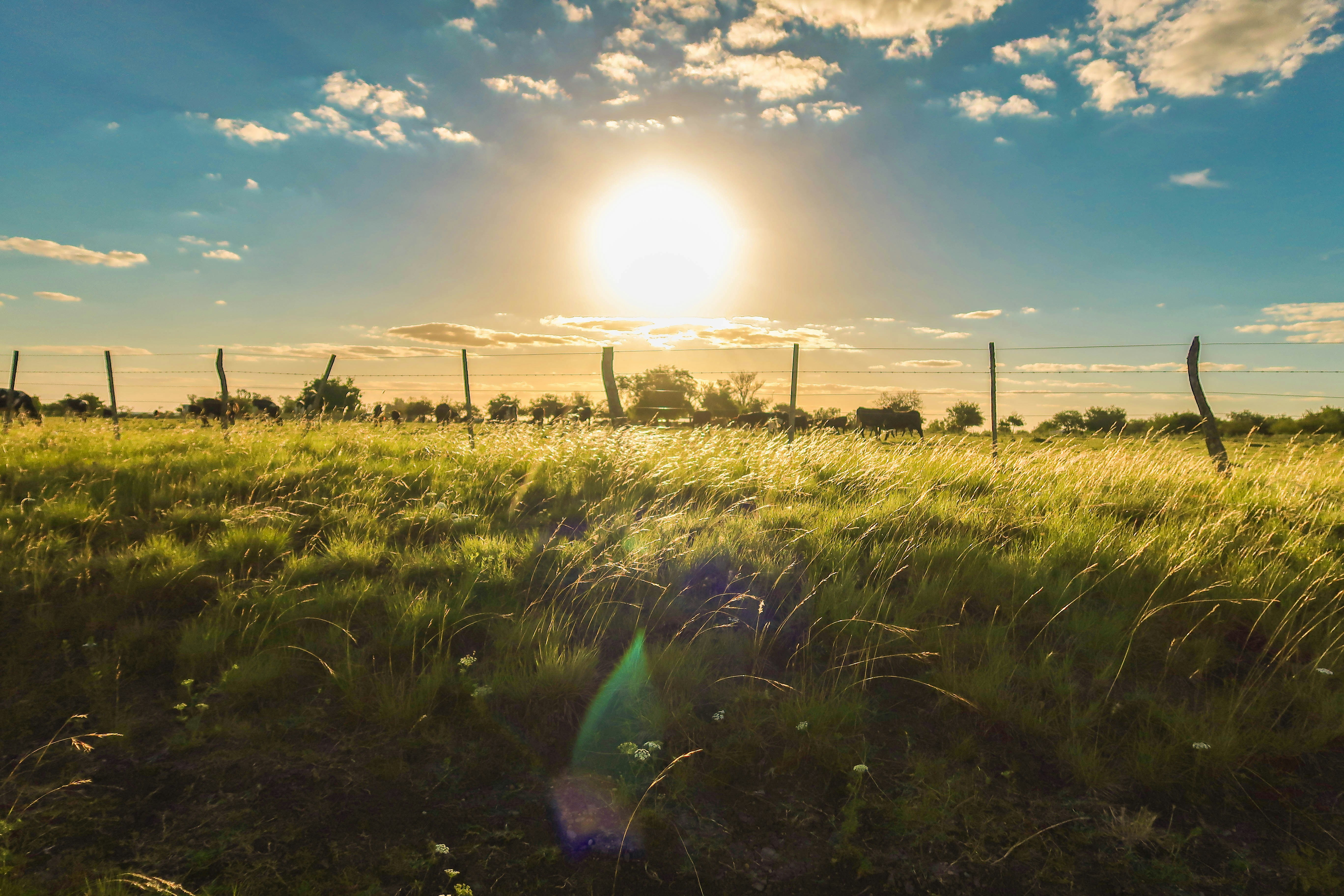 Photo by argentinanatural