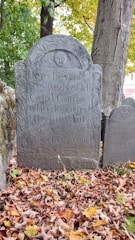 An old tombstone stands in a cemetery, surrounded by fallen autumn leaves. The engravings on the tombstone include a carved face at the top and decorative patterns on the sides. Trees with green leaves form the background, while another tombstone is partially visible.