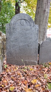 An old tombstone stands in a cemetery, surrounded by fallen autumn leaves. The engravings on the tombstone include a carved face at the top and decorative patterns on the sides. Trees with green leaves form the background, while another tombstone is partially visible.