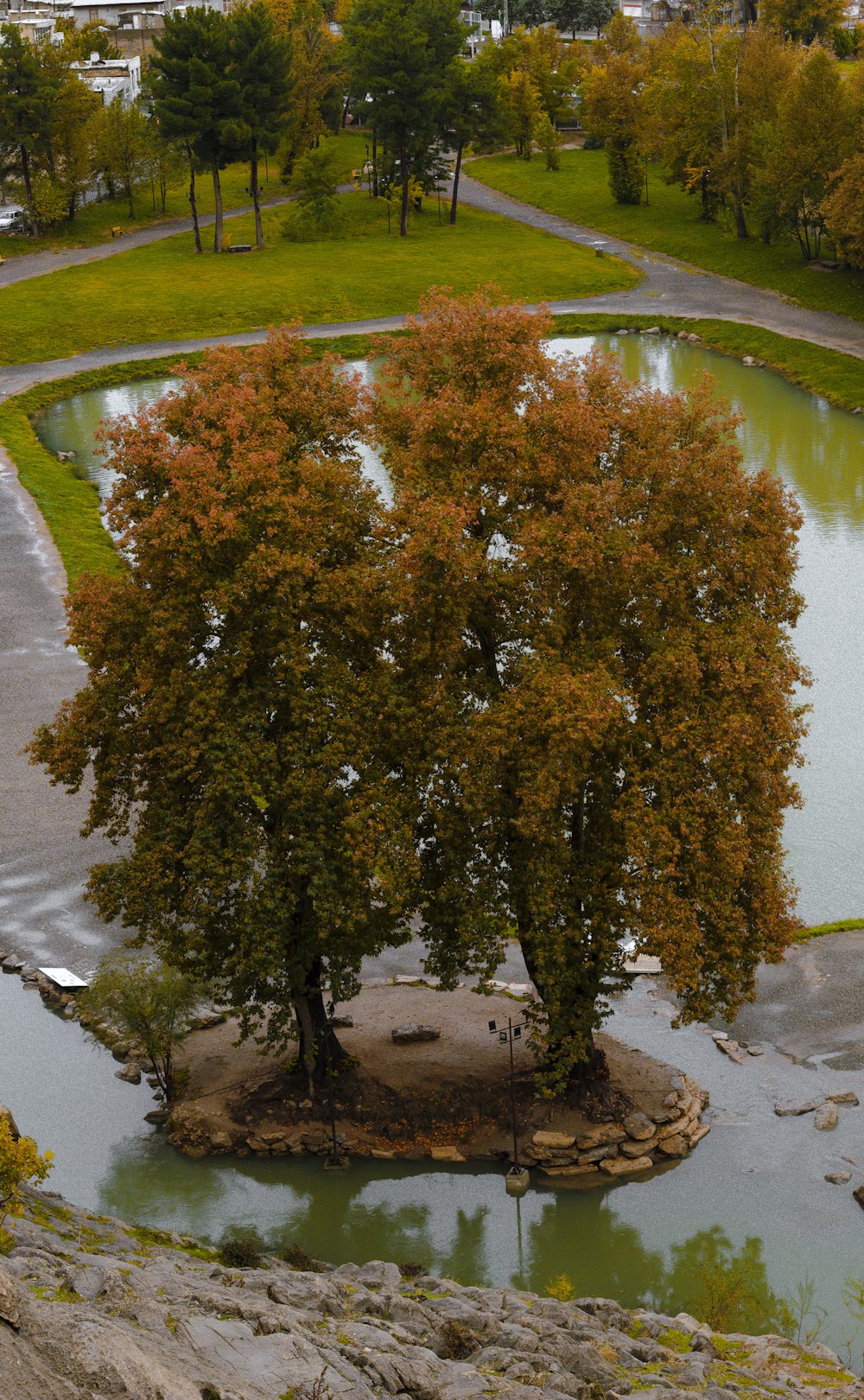 a small island with a tree in the middle of it