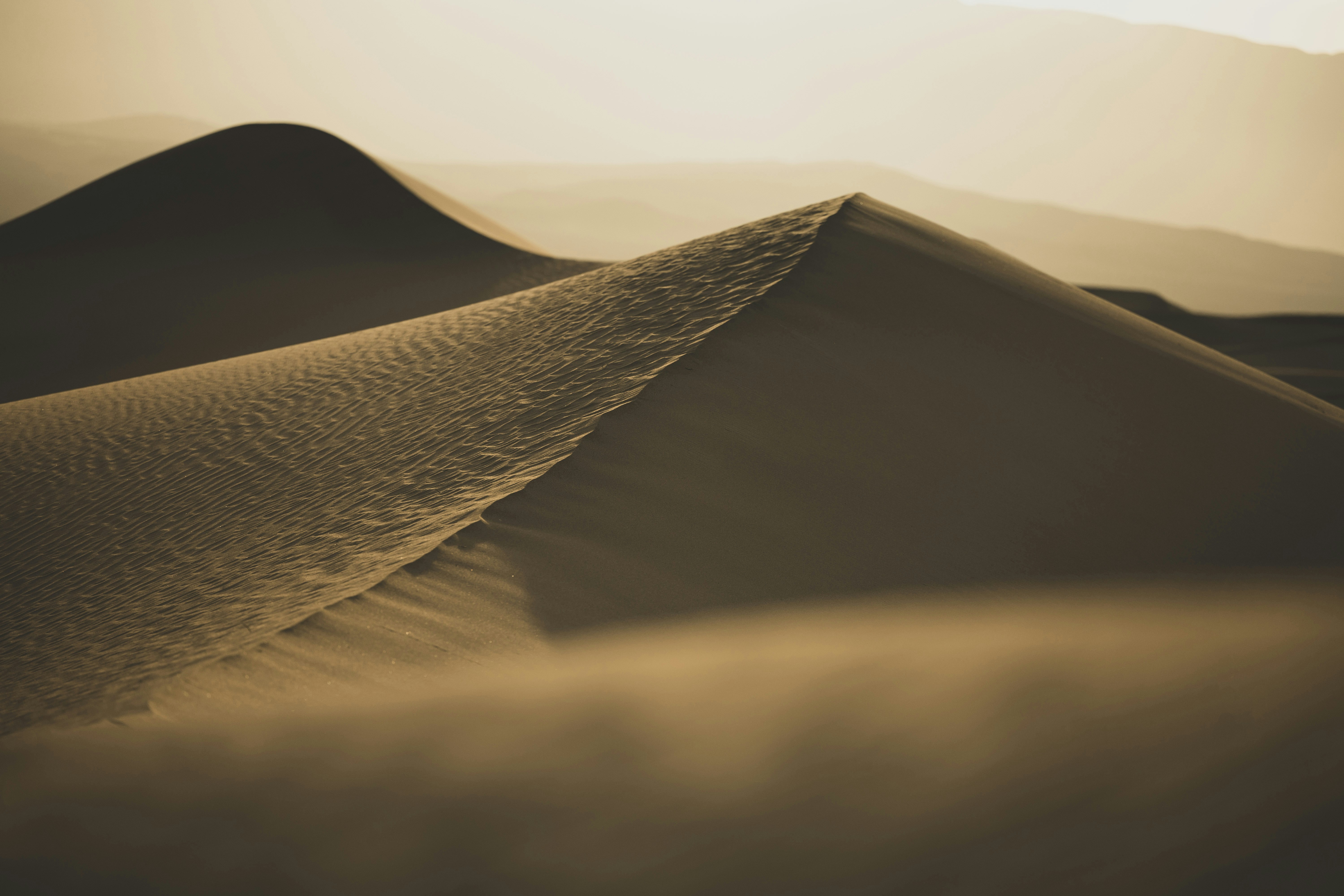 Photo by leo_visions_