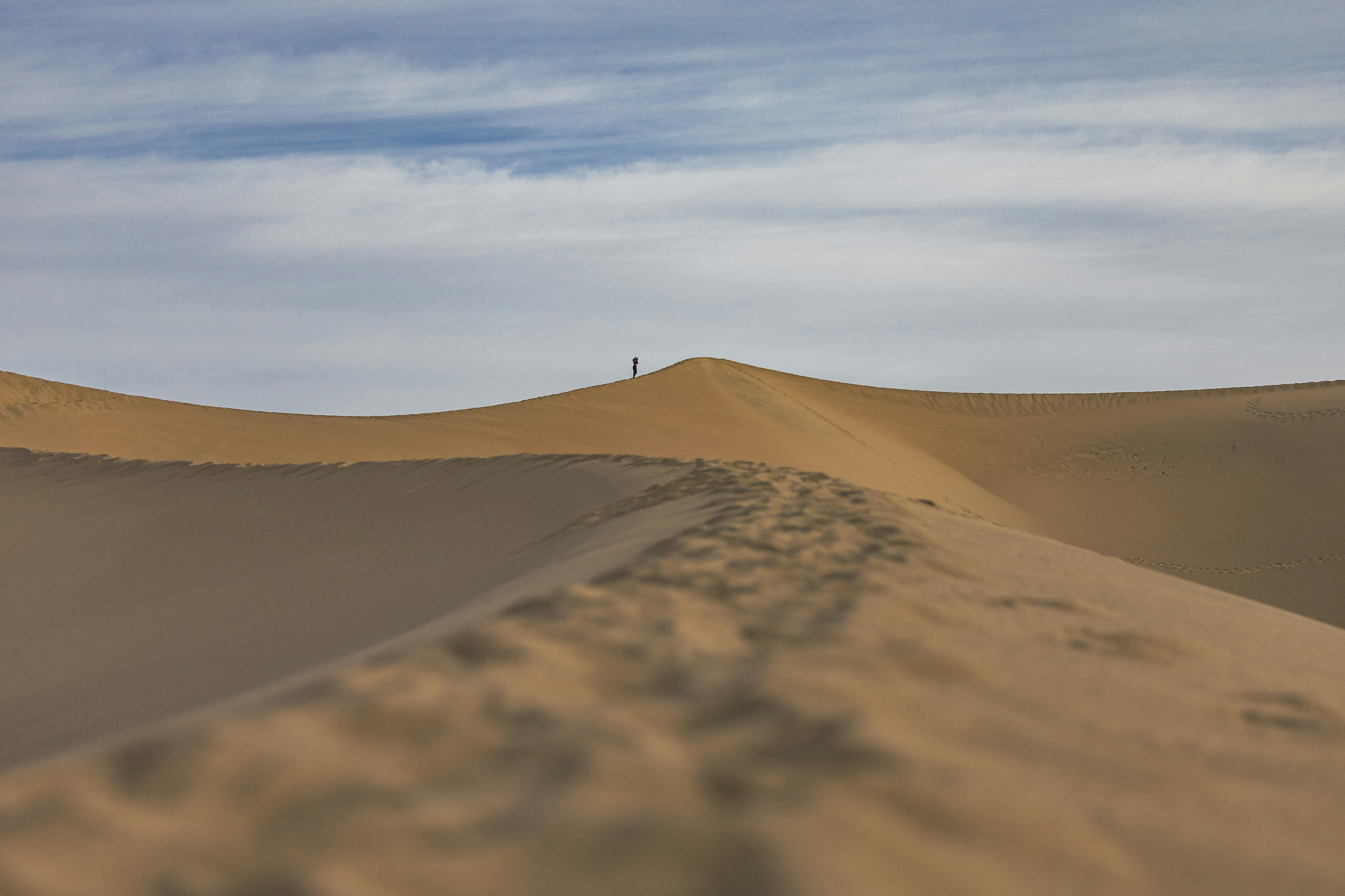 Photo by leo_visions_