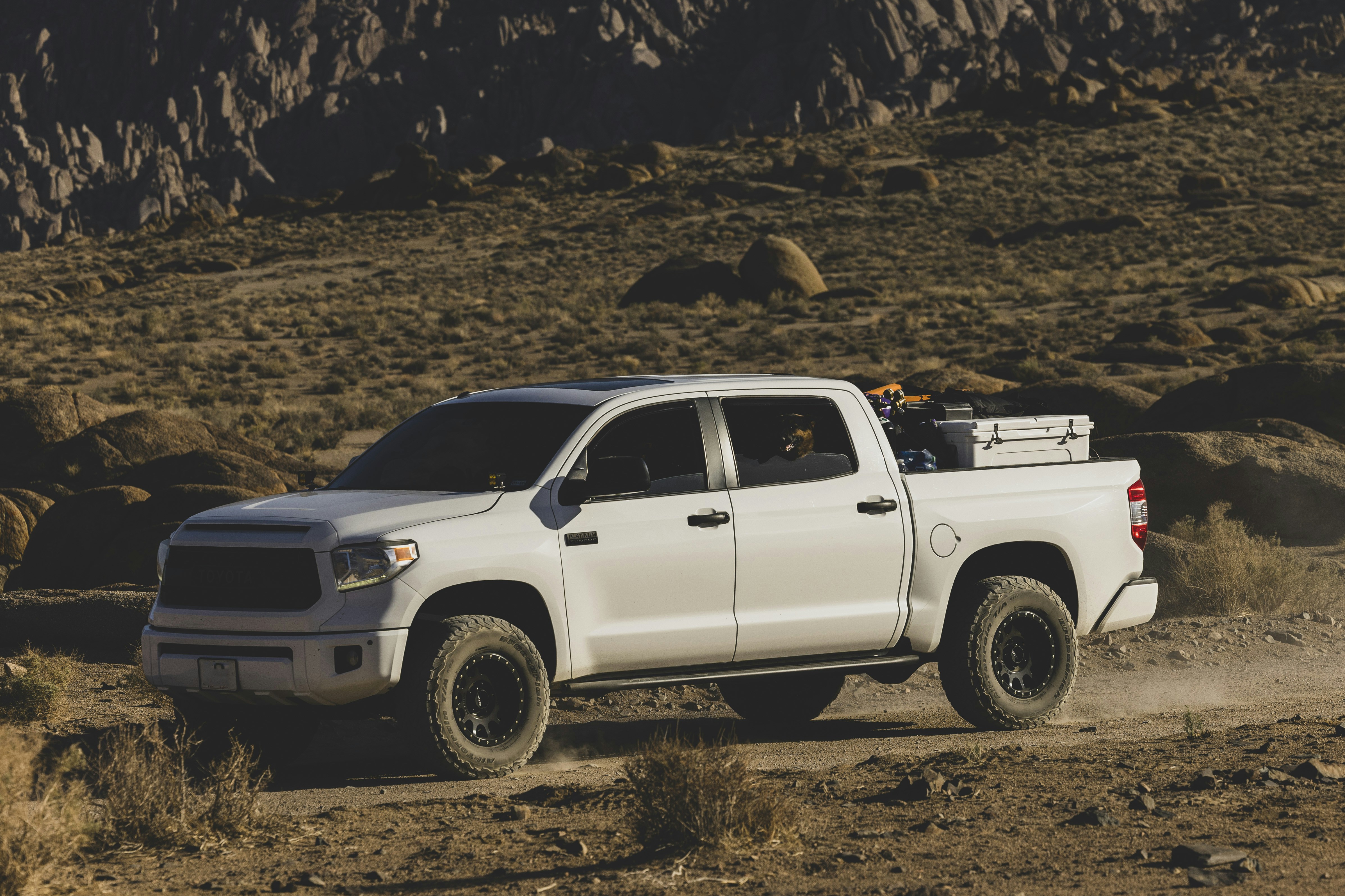 Photo by leo_visions_