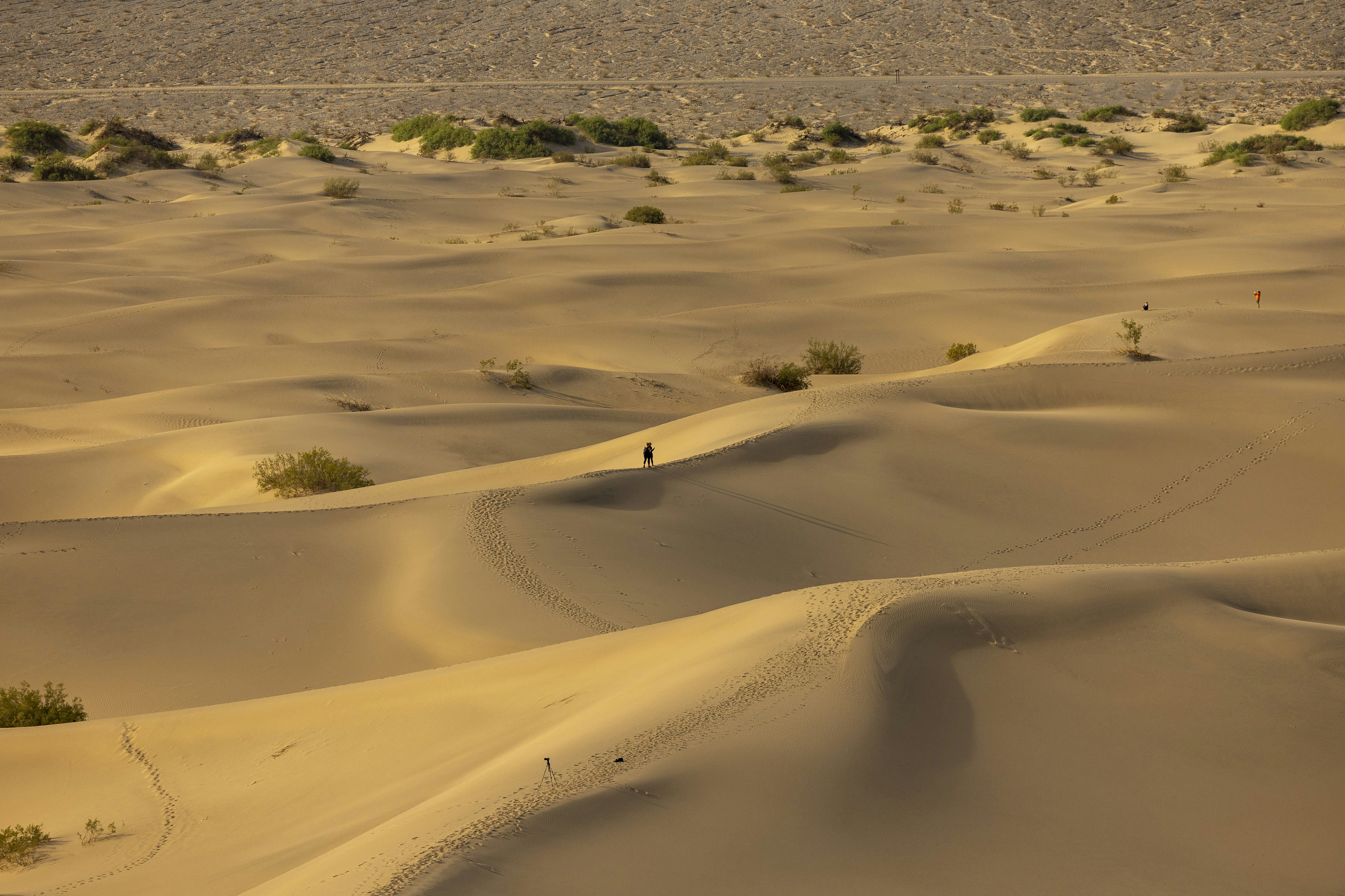 Photo by leo_visions_