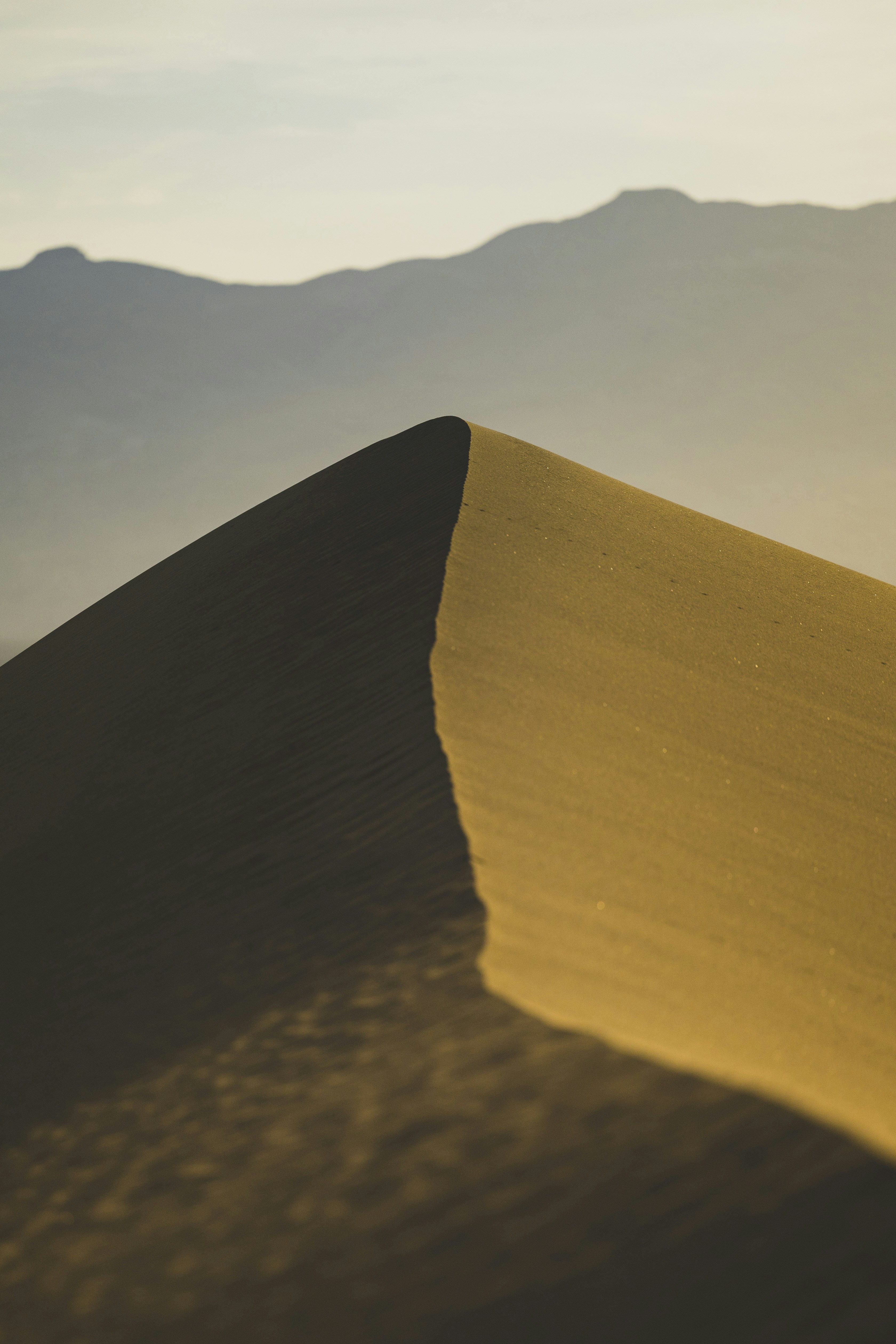 Photo by leo_visions_