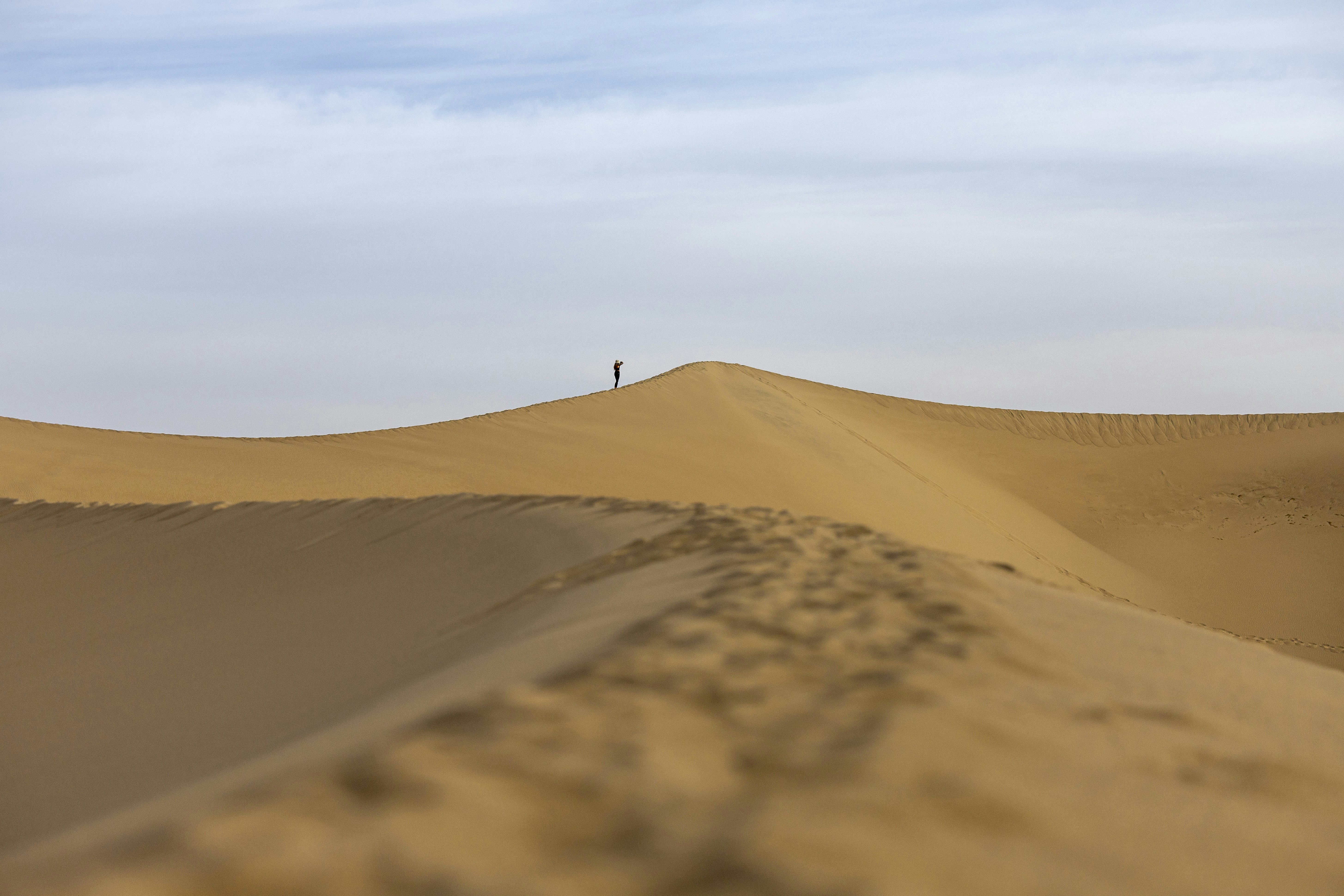 Photo by leo_visions_