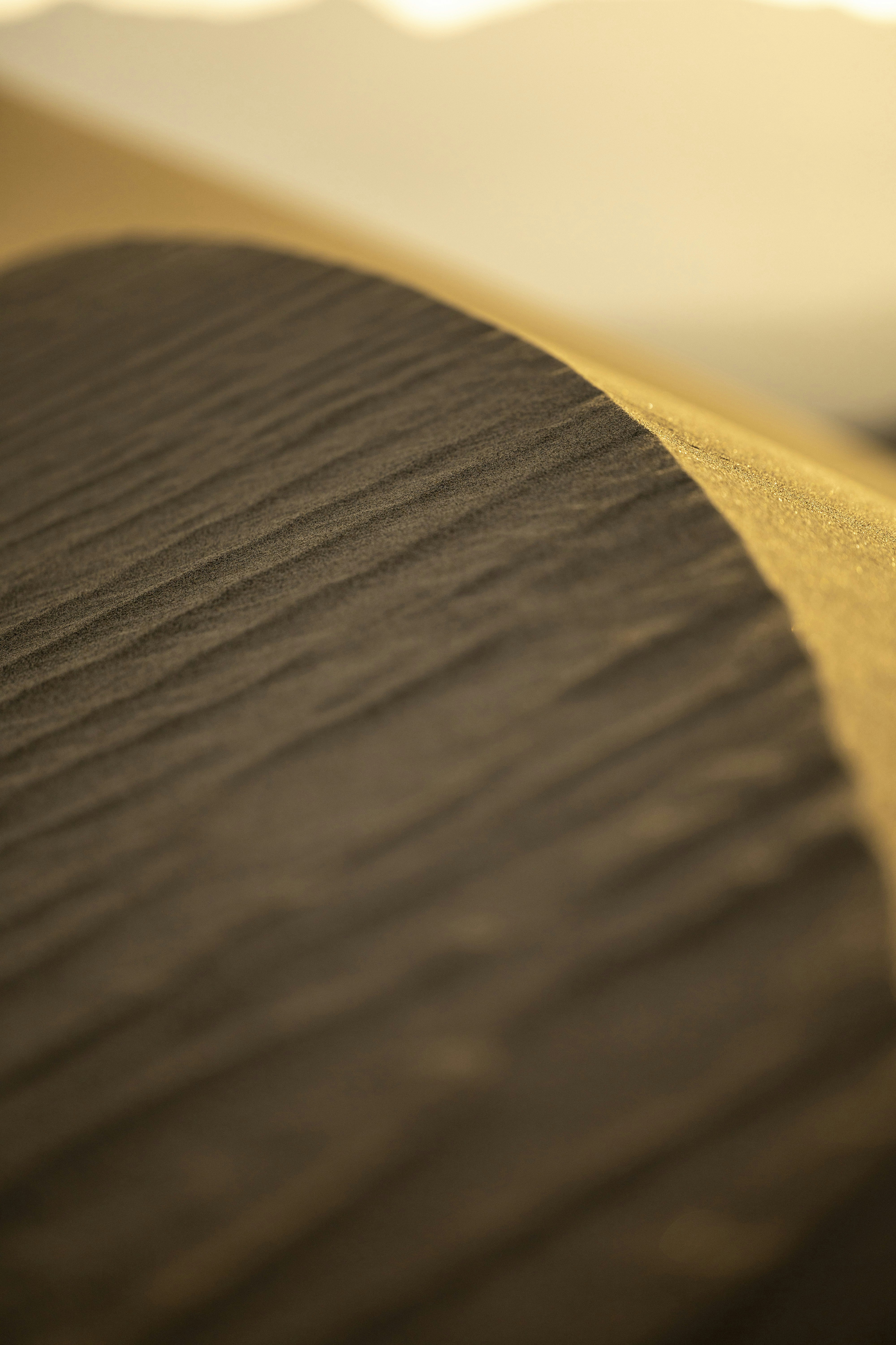 a sand dune in the middle of a desert