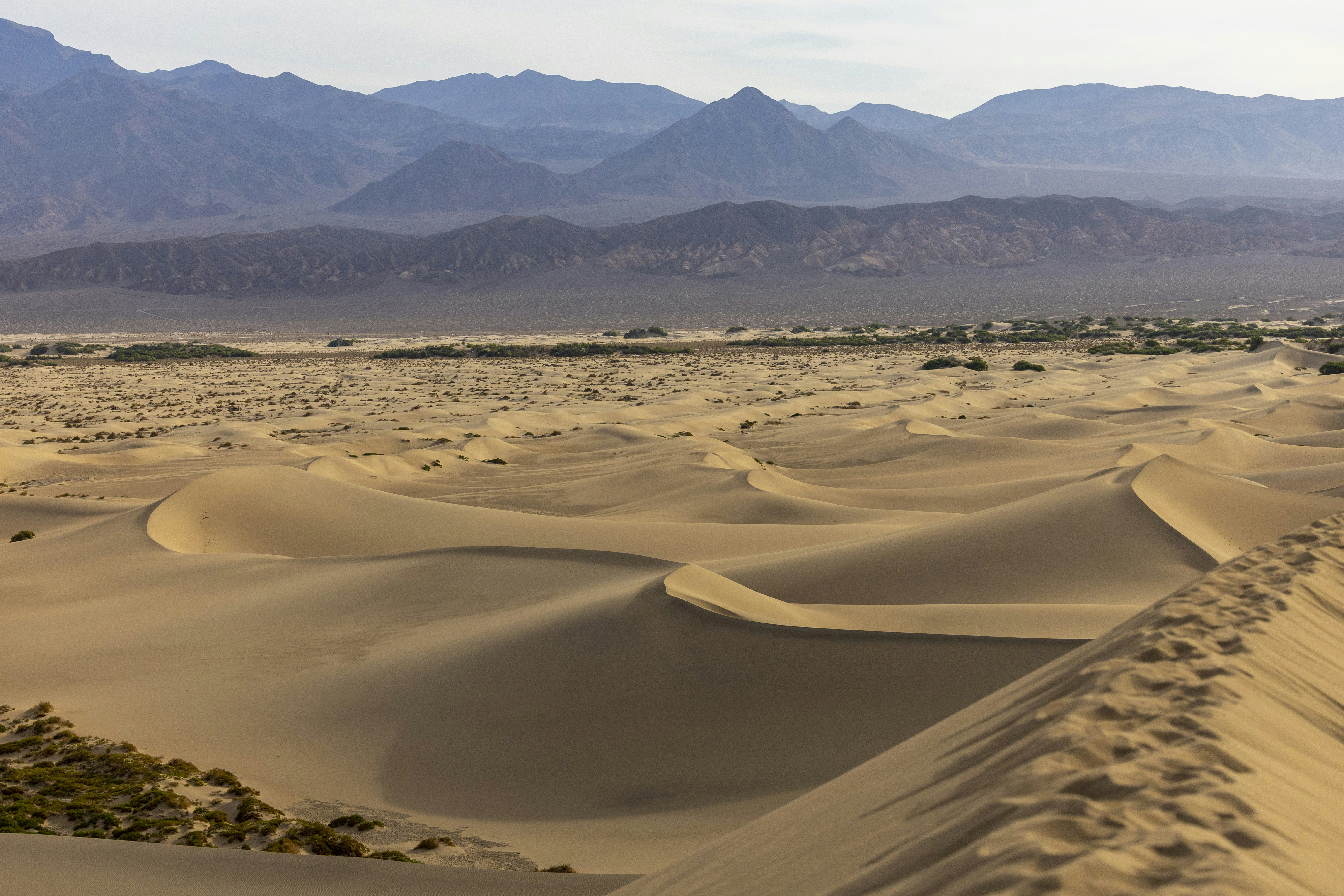 Photo by leo_visions_