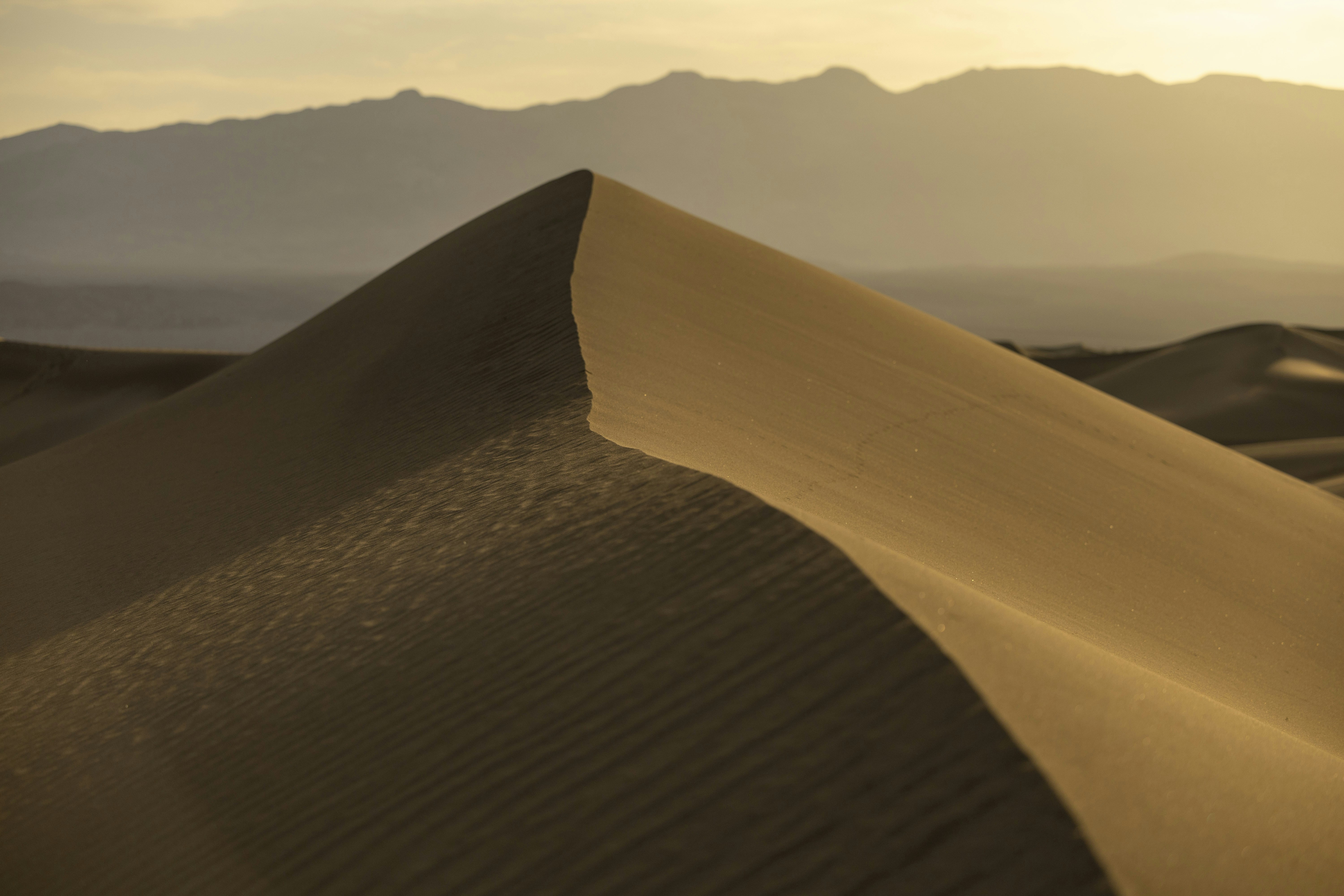 Photo by leo_visions_