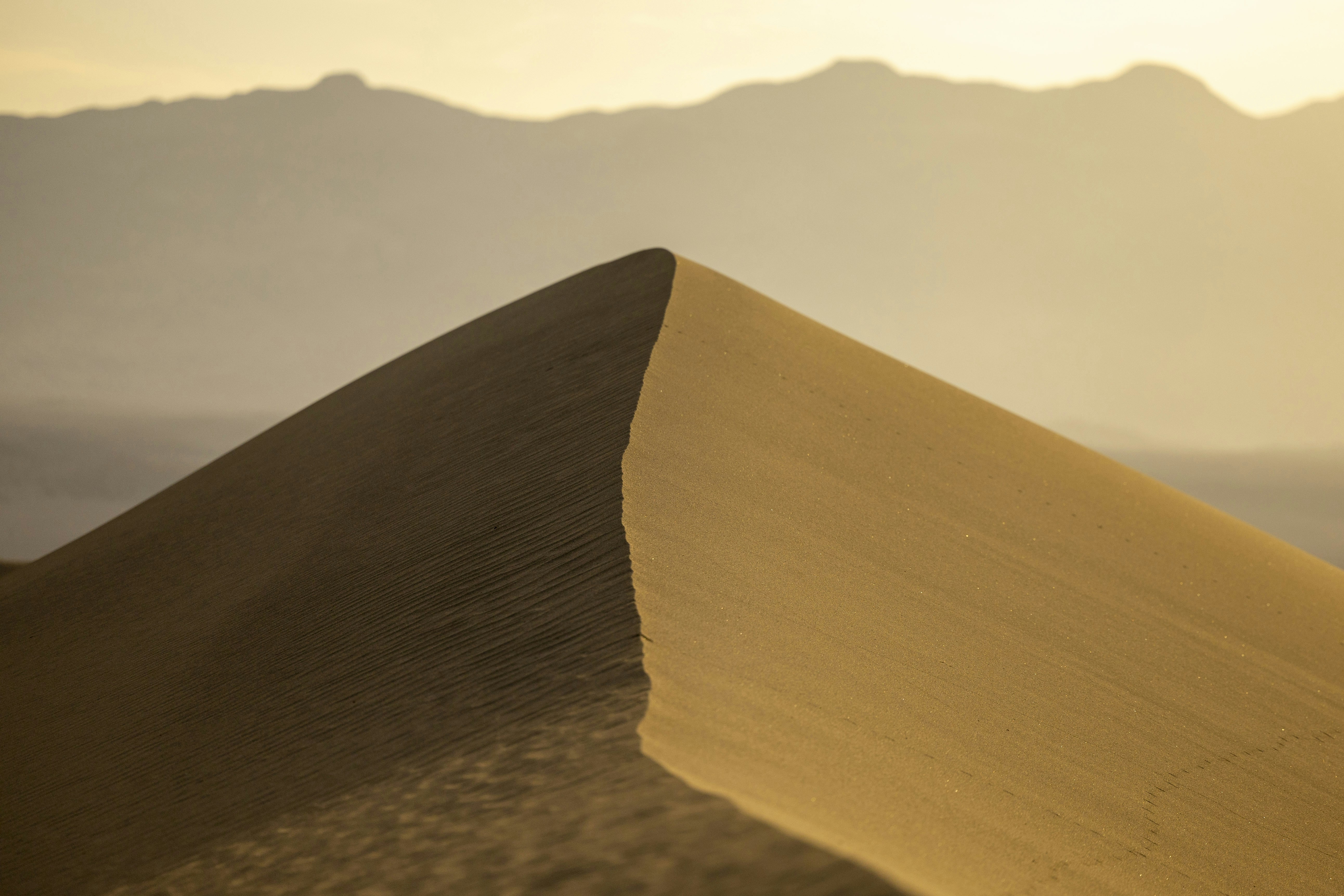 Photo by leo_visions_