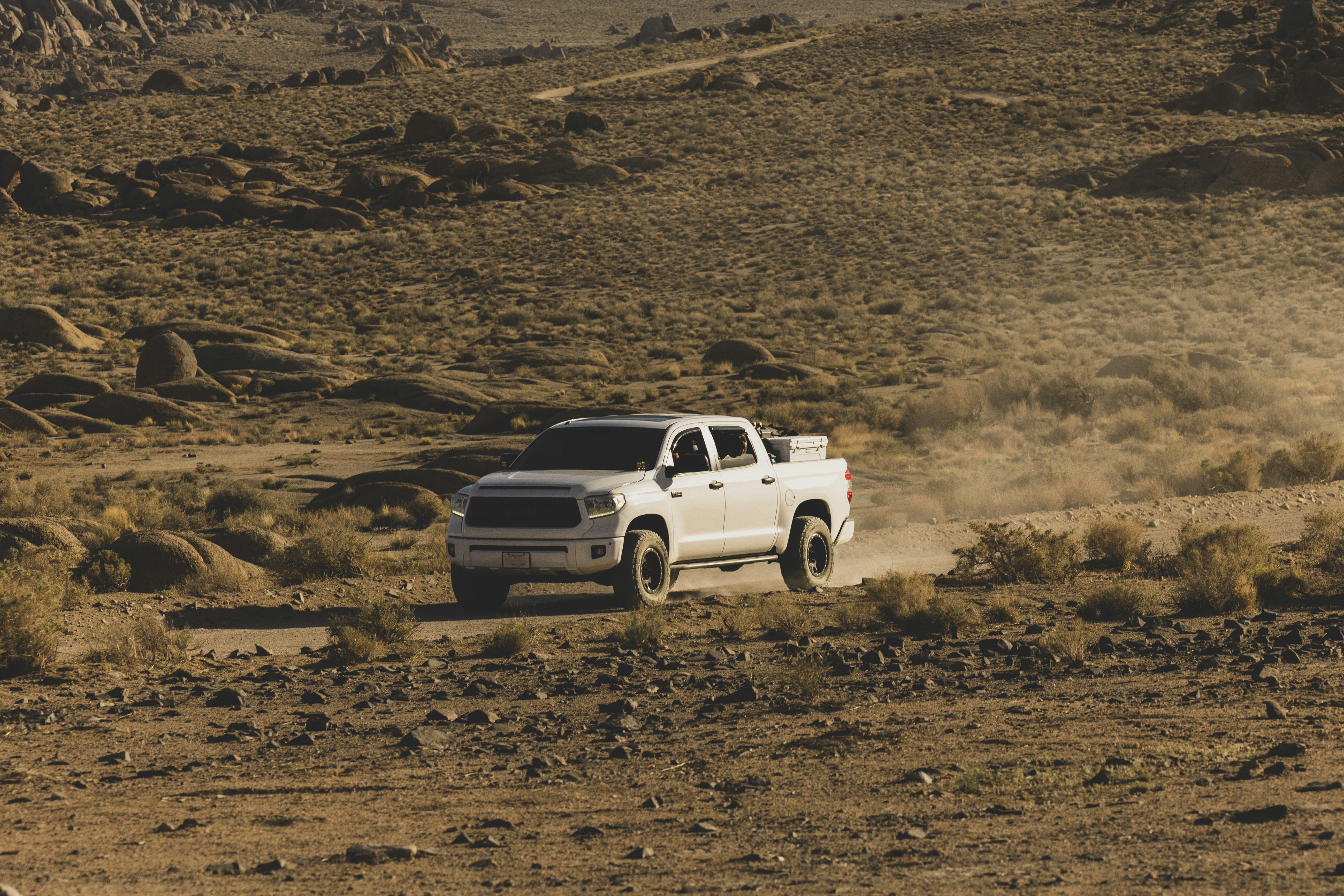 Photo by leo_visions_