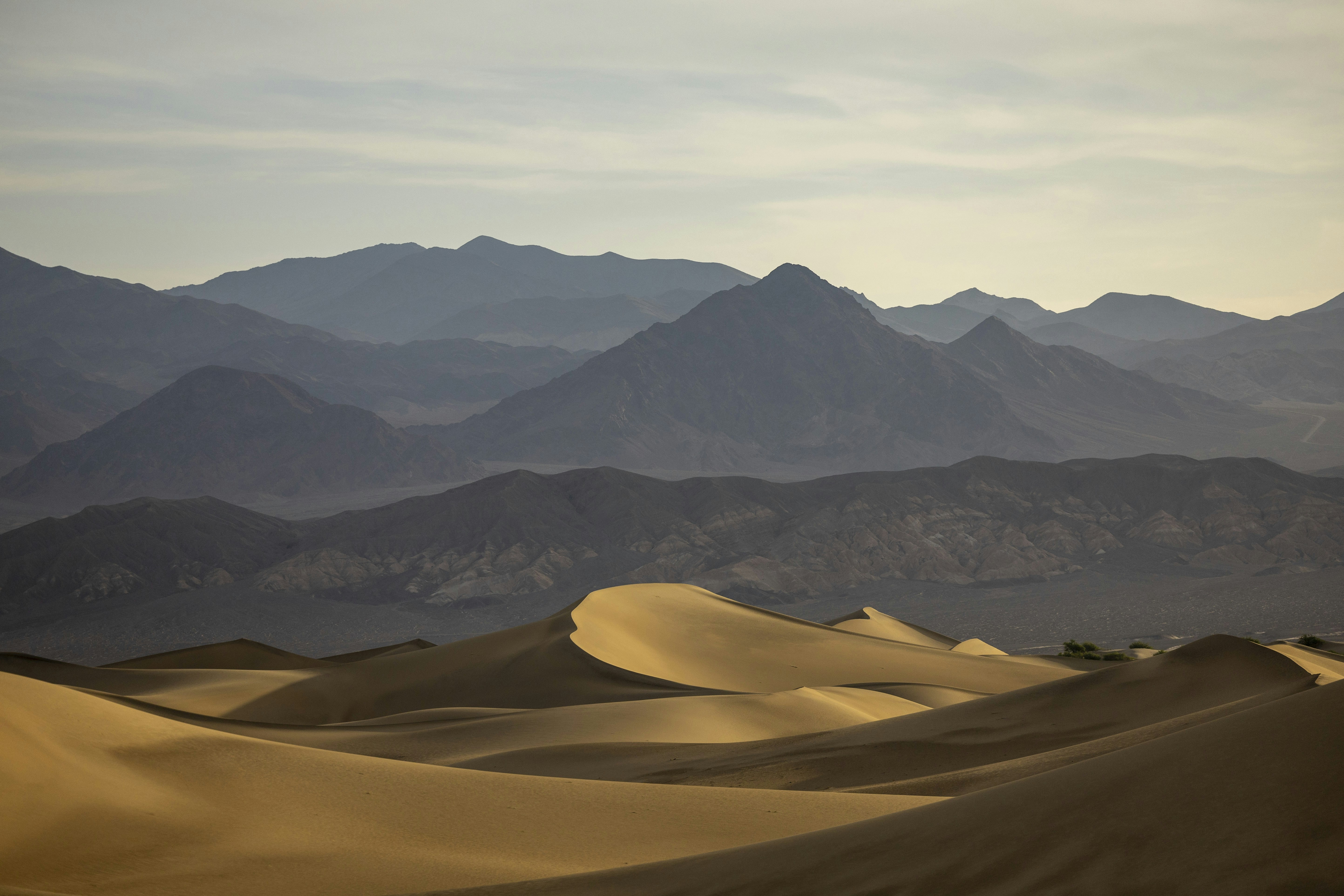 Photo by leo_visions_