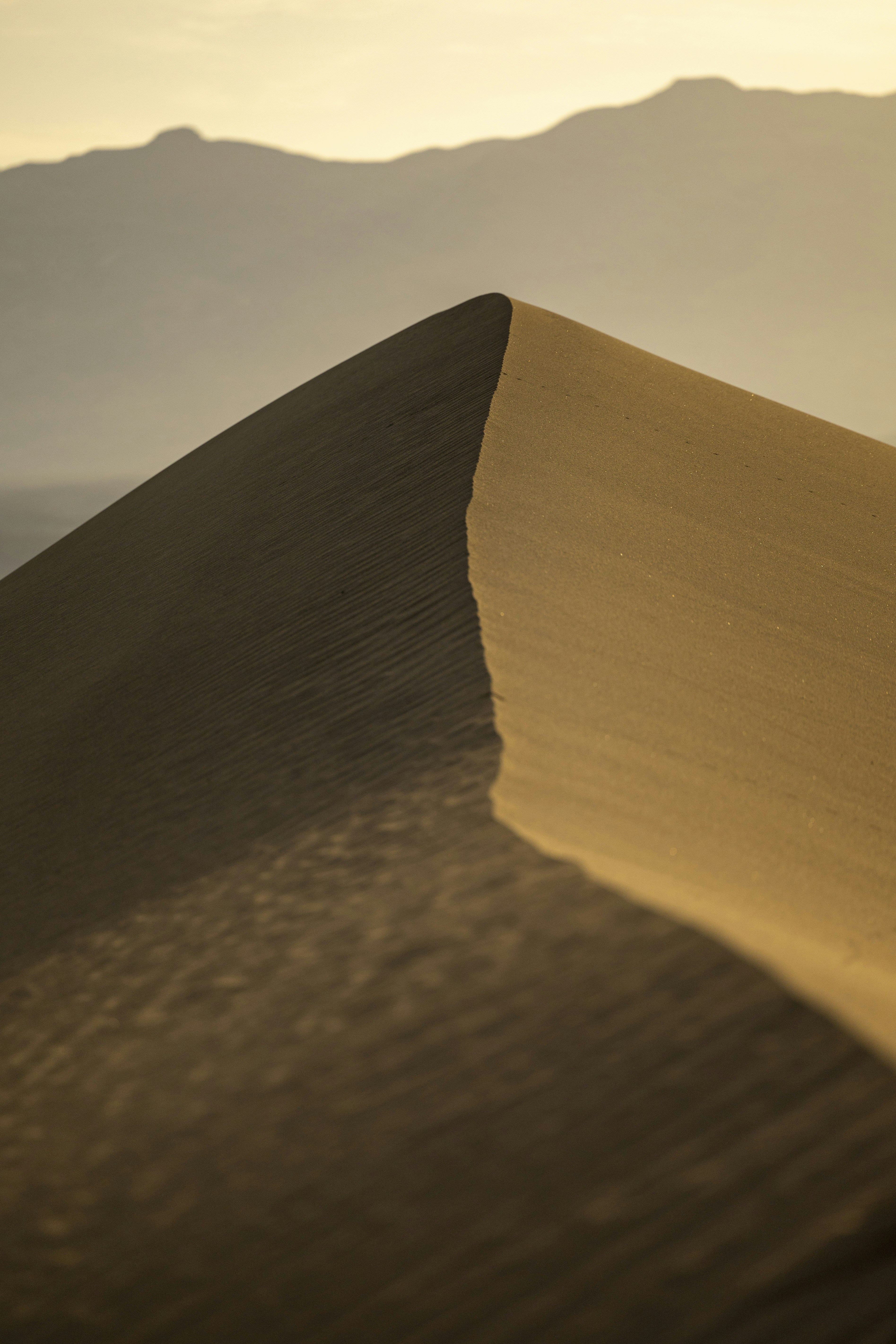 Photo by leo_visions_