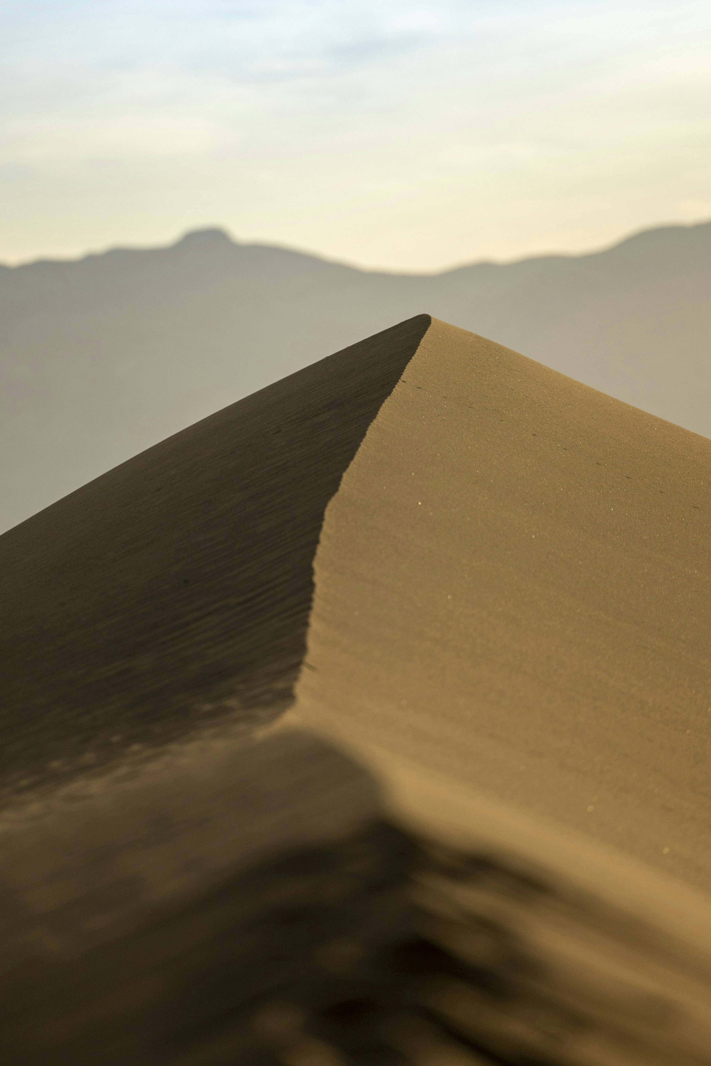 Photo by leo_visions_