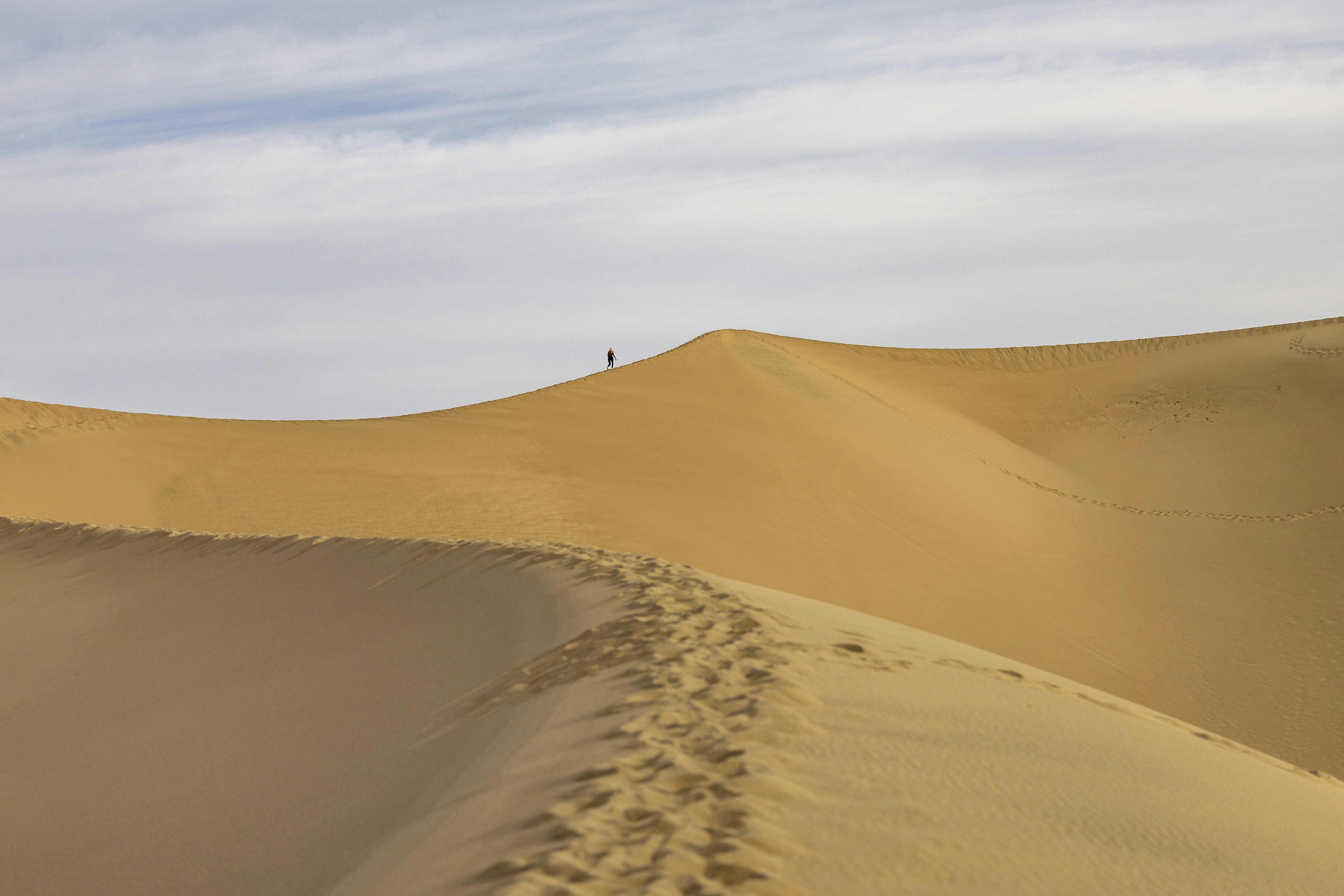 Photo by leo_visions_