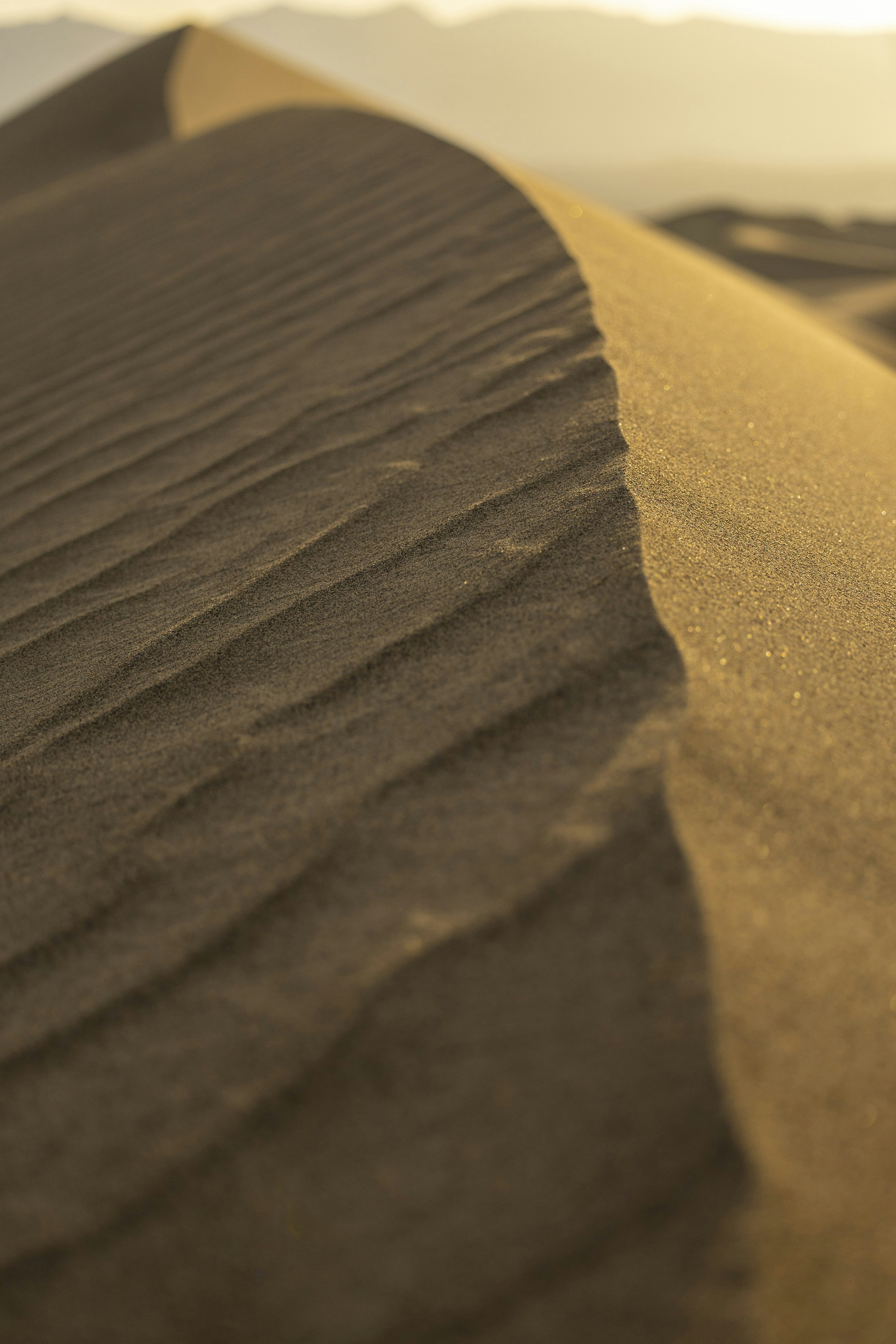 Photo by leo_visions_