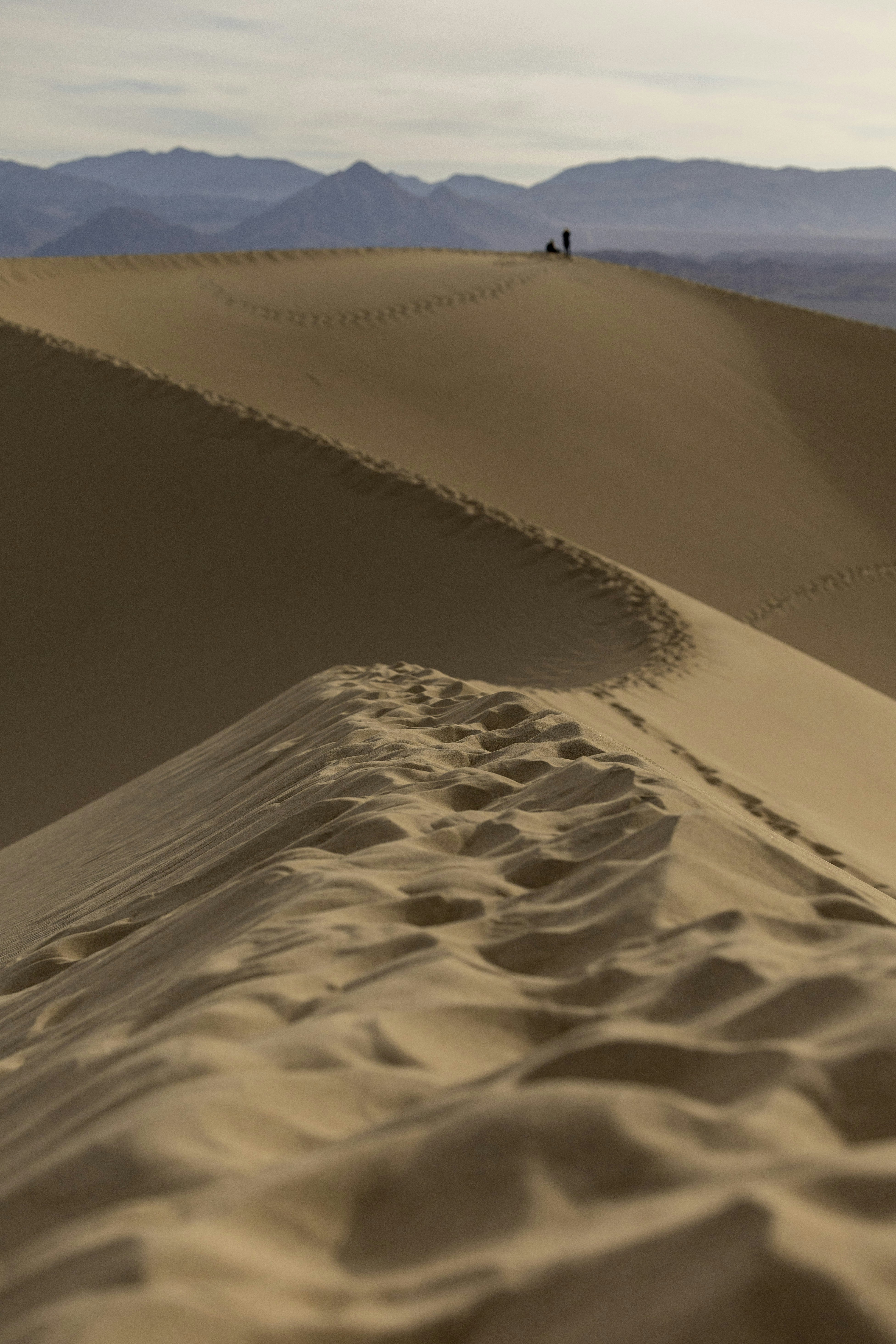 Photo by leo_visions_