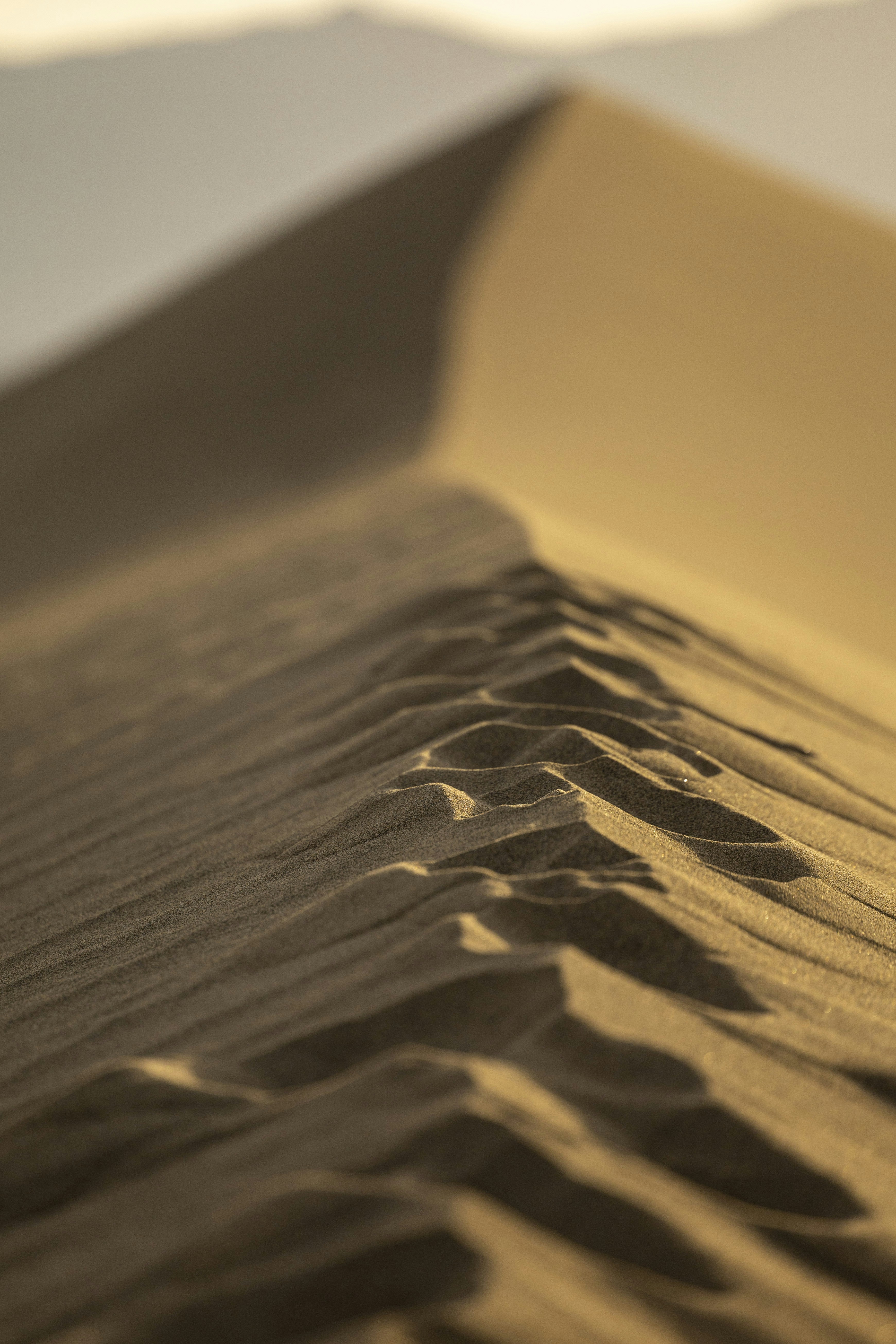 Photo by leo_visions_