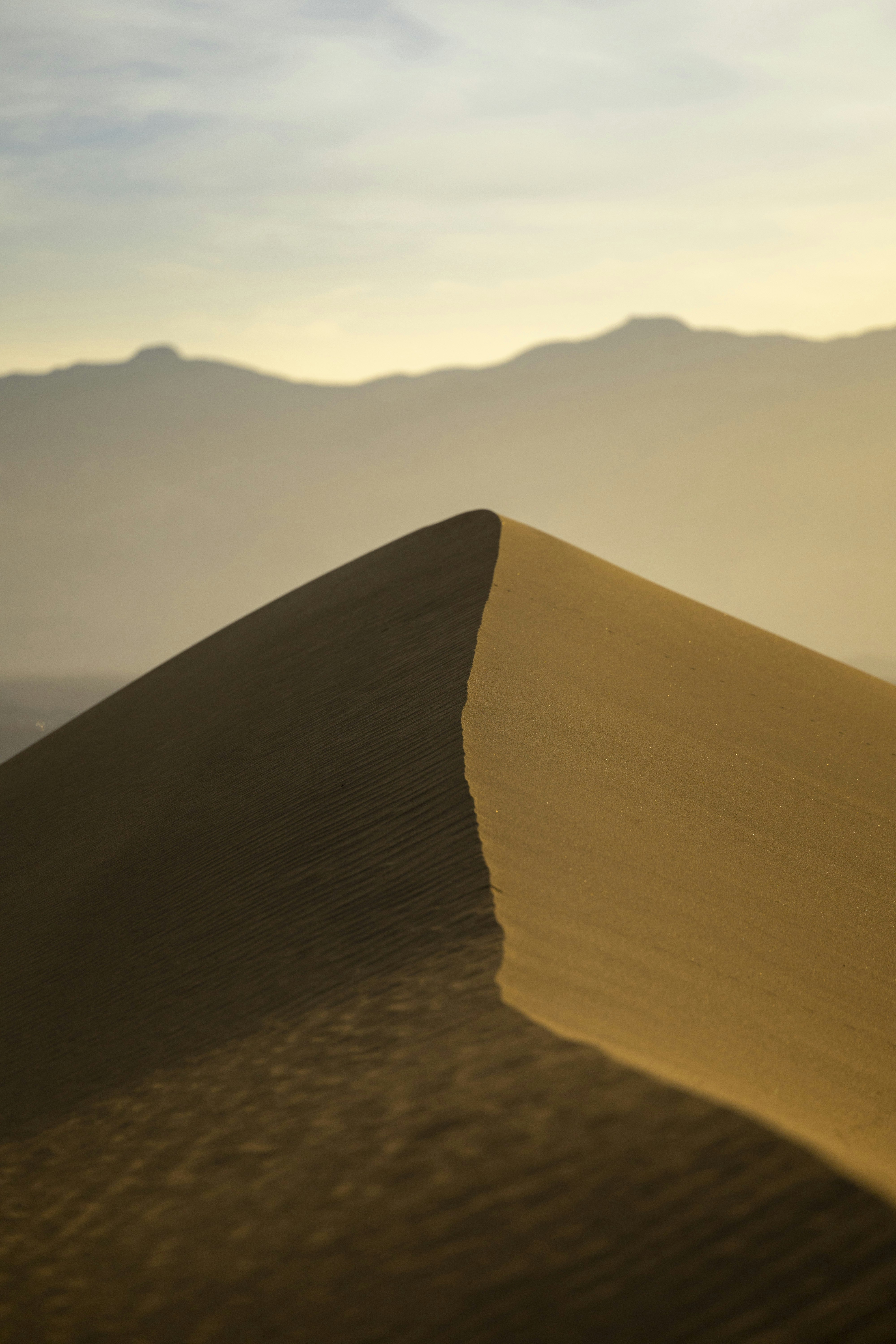 Photo by leo_visions_