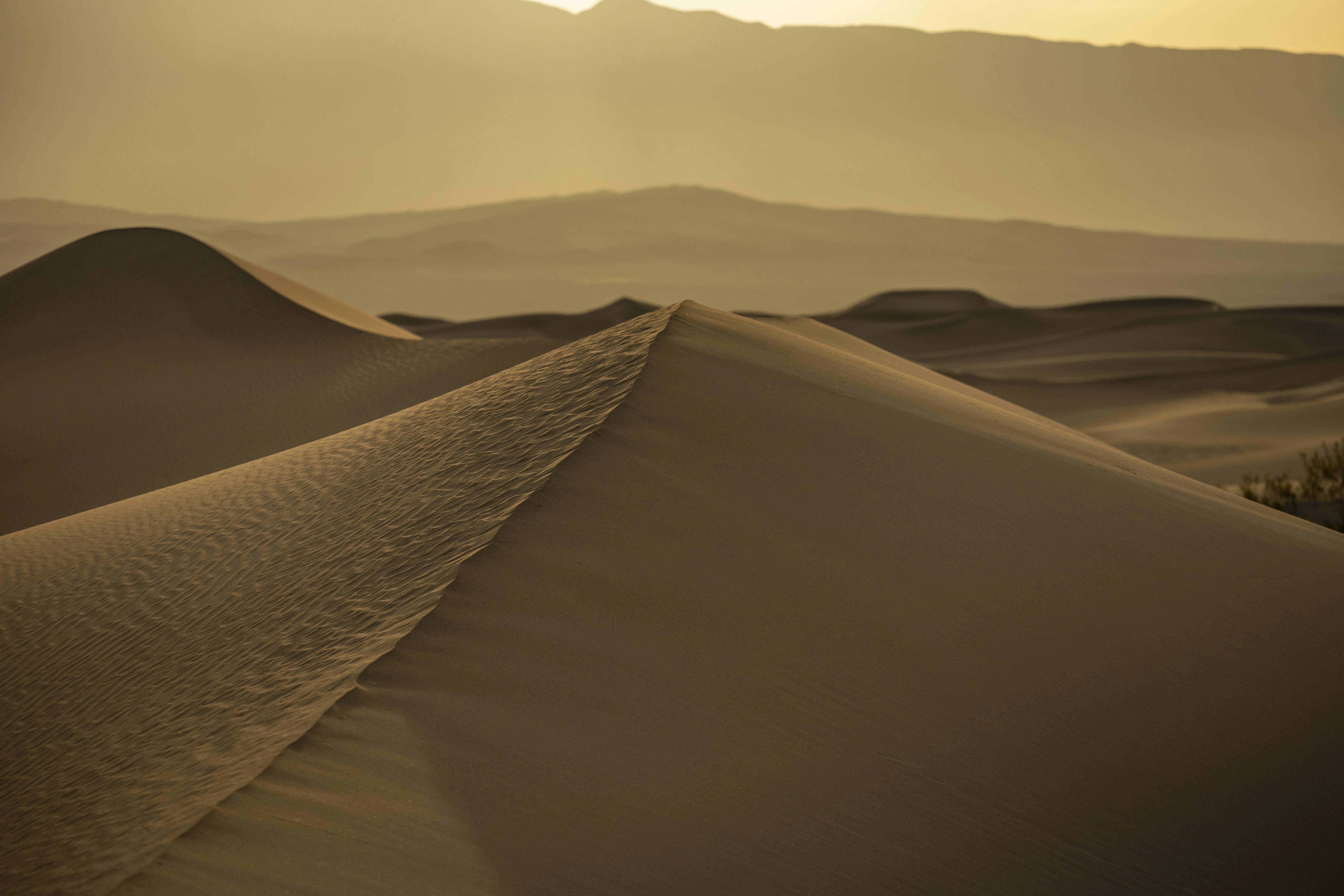 Photo by leo_visions_