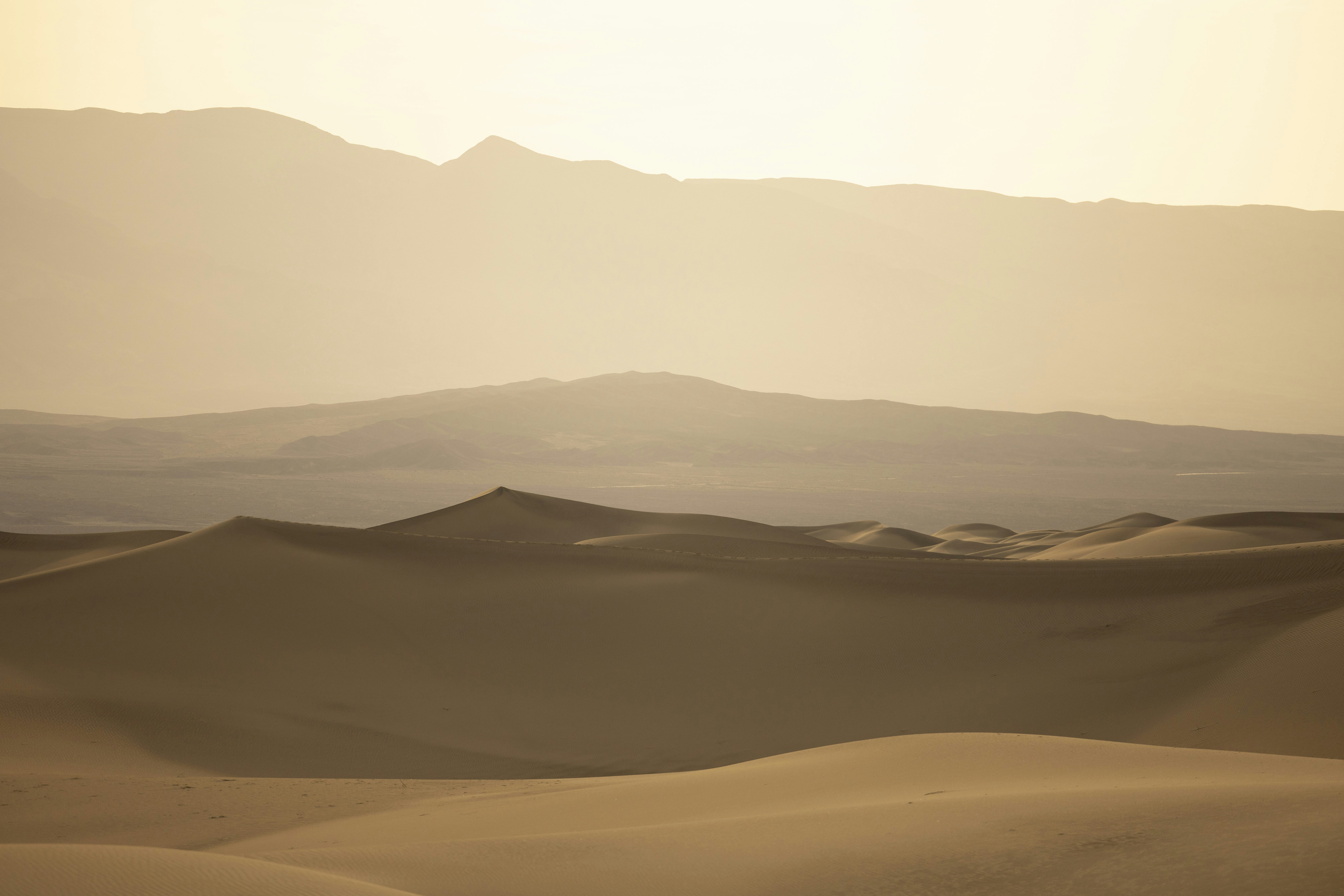 Photo by leo_visions_