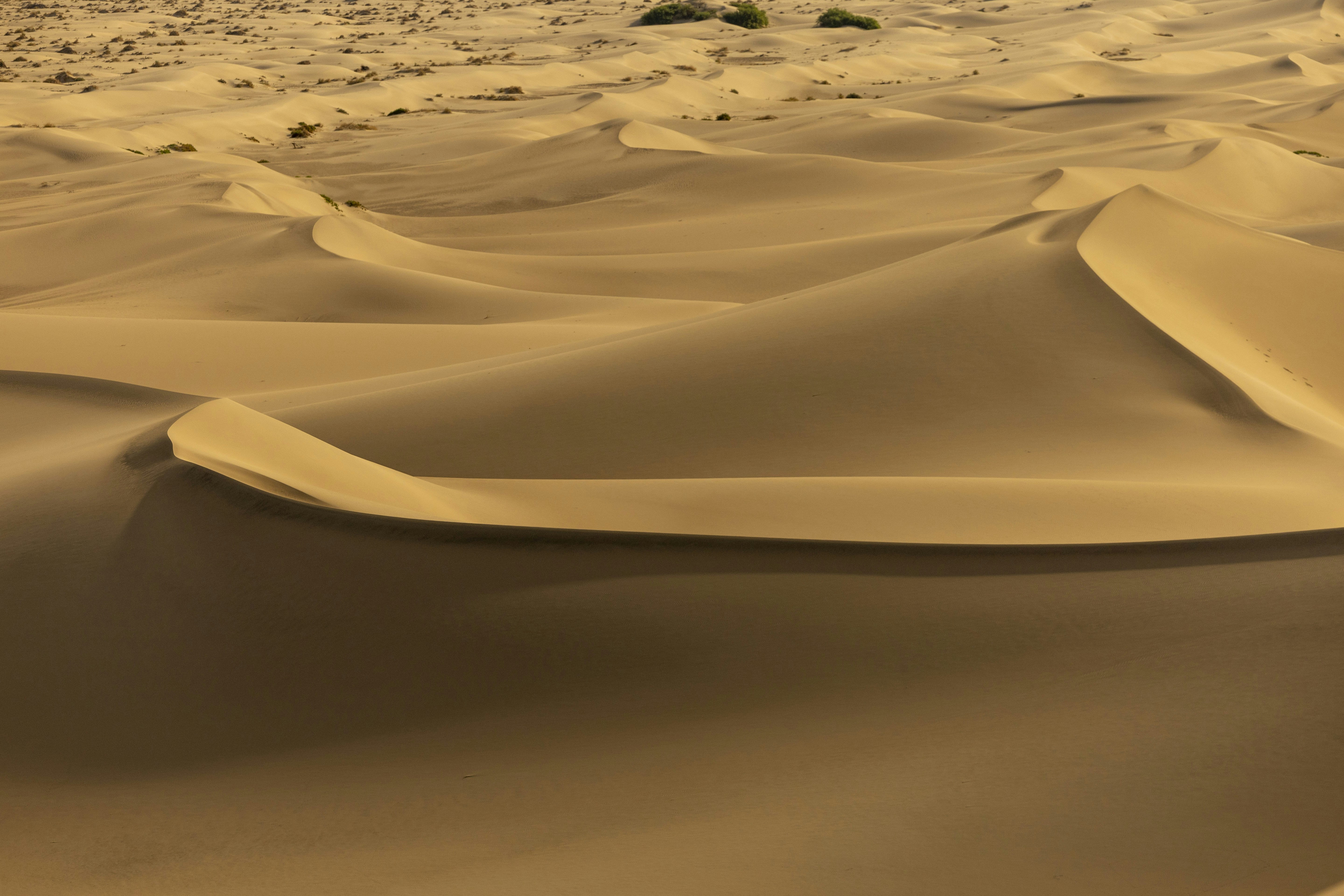 Photo by leo_visions_