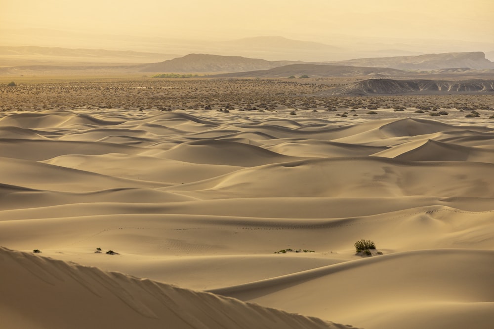 a desert with sand dunes and mountains in the distance