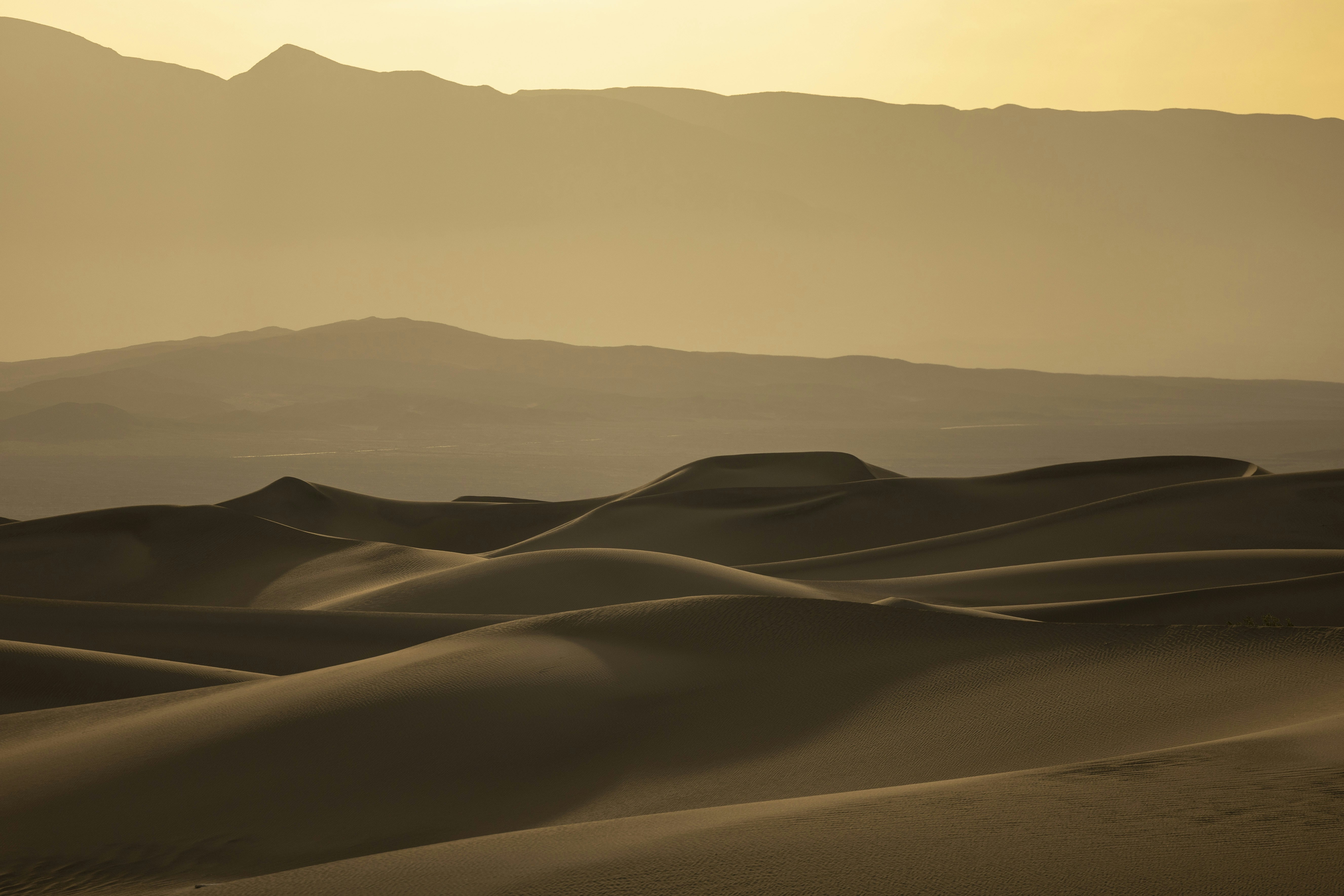 Photo by leo_visions_