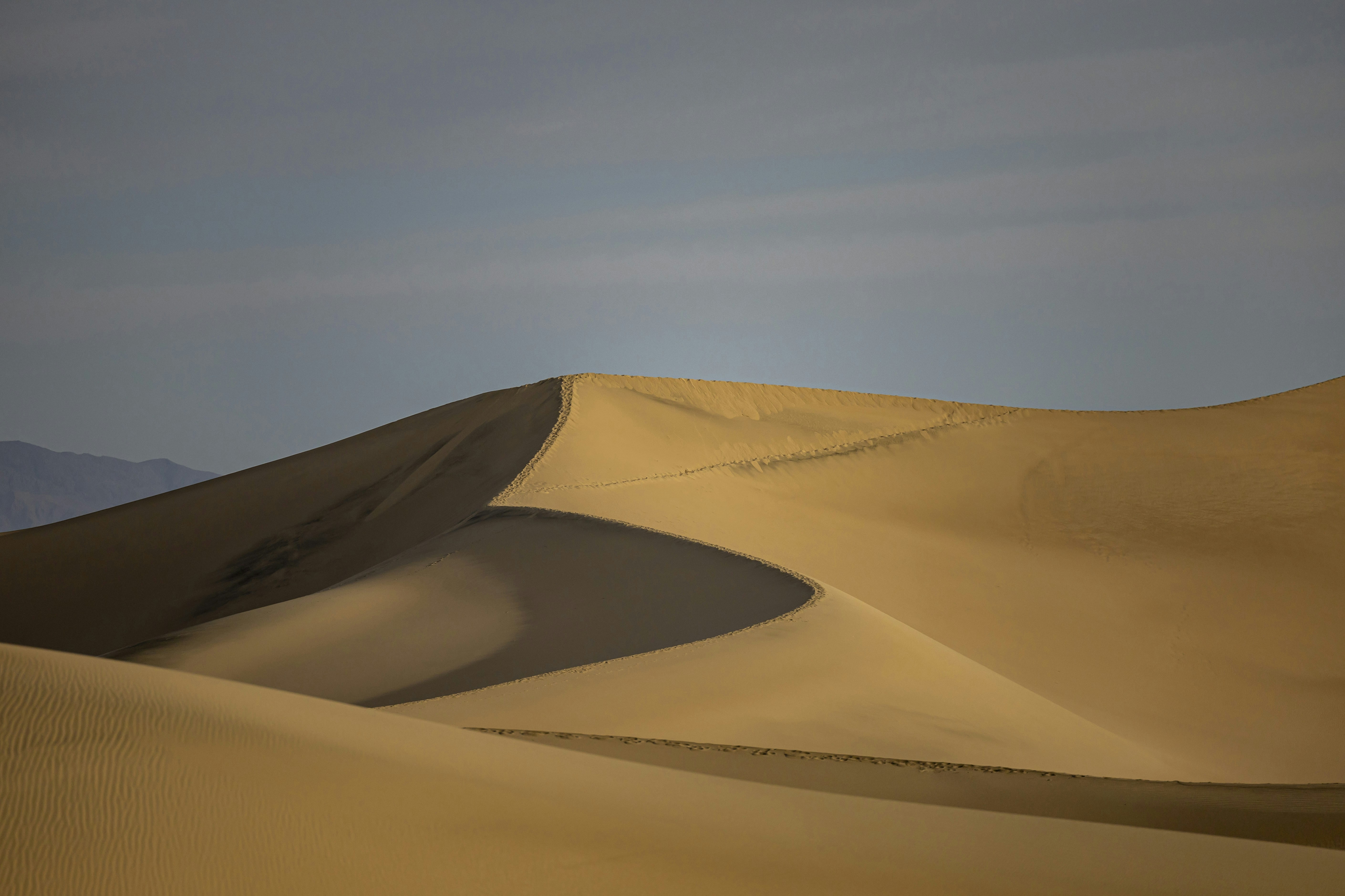 Photo by leo_visions_