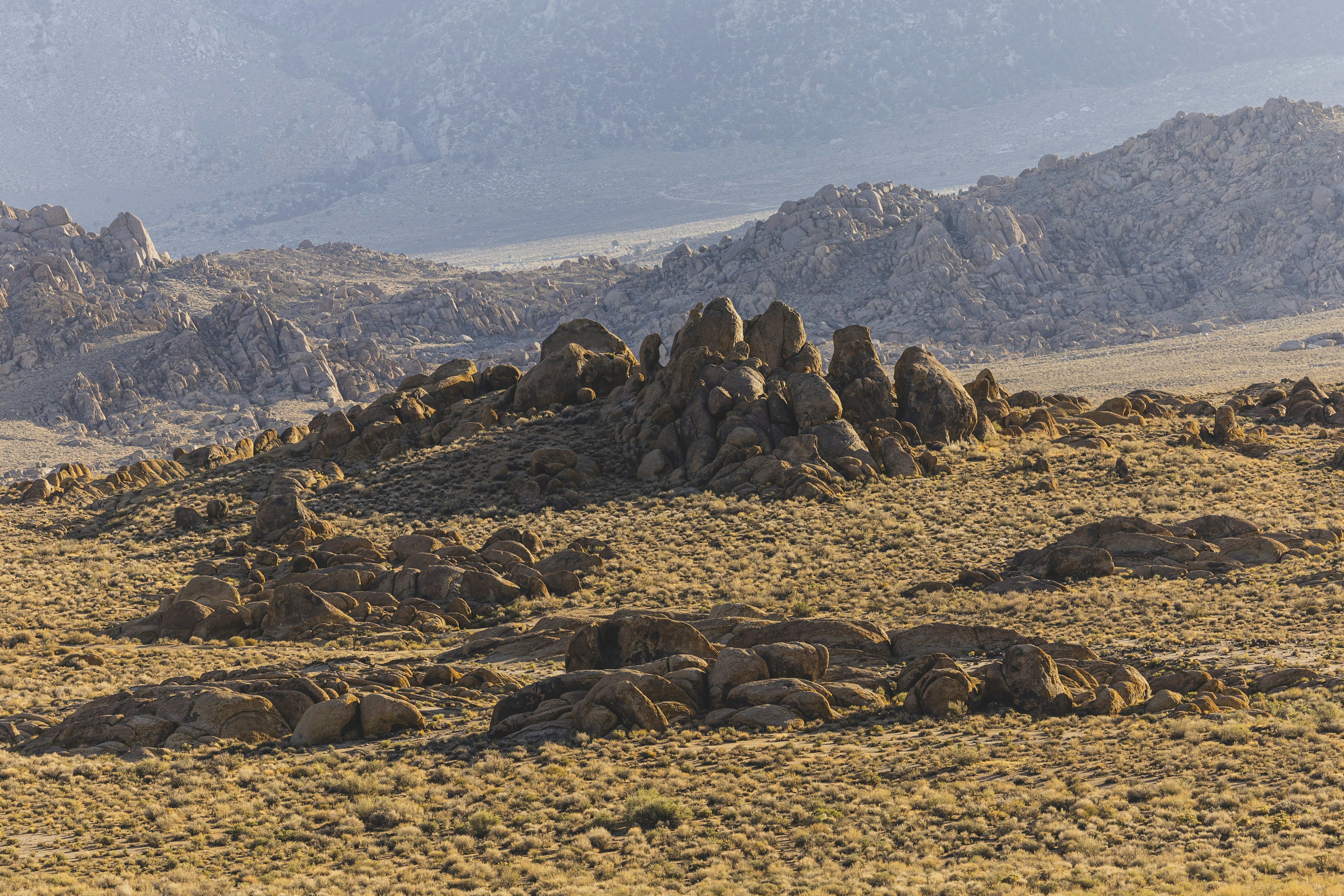 Photo by leo_visions_