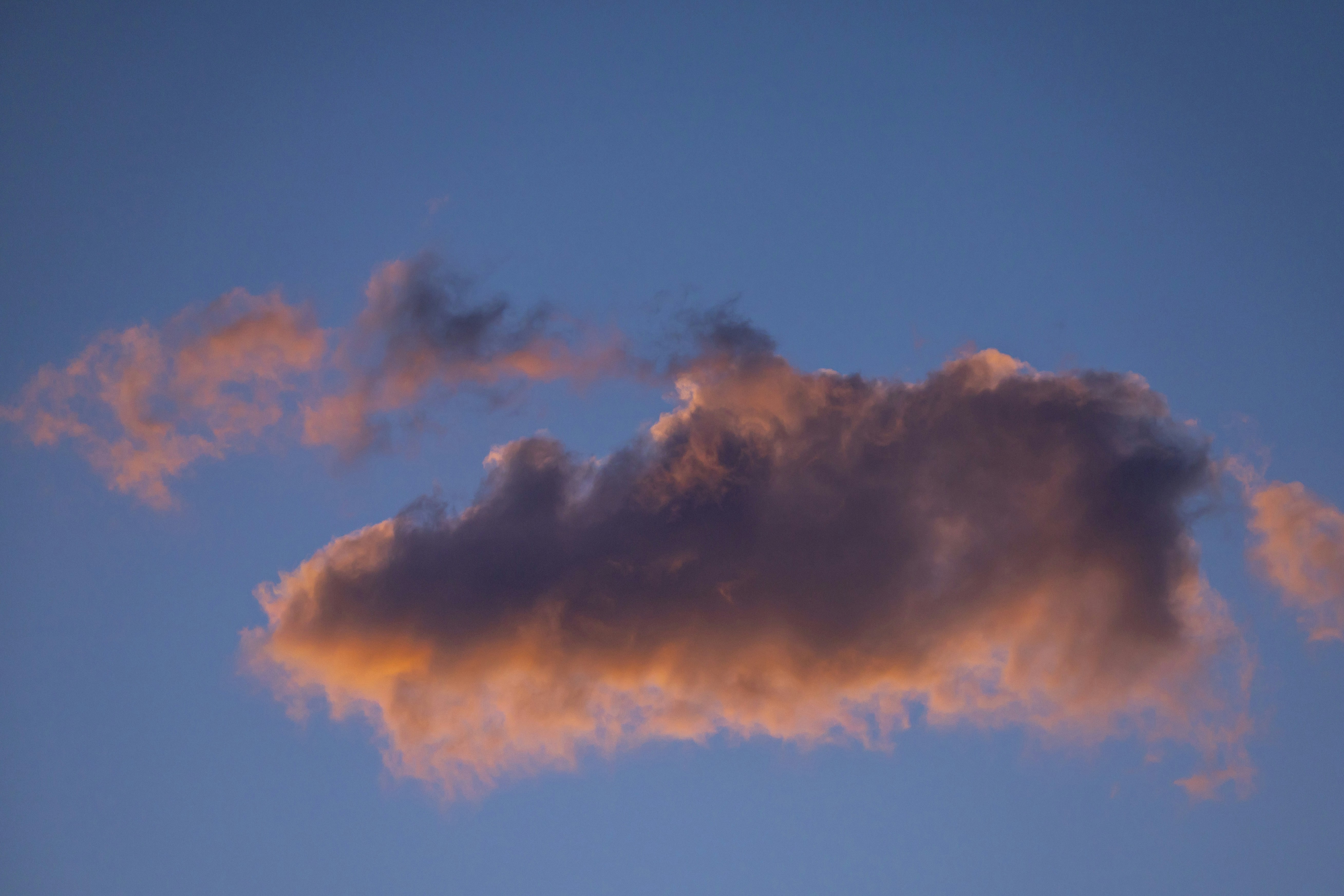 Photo by leo_visions_