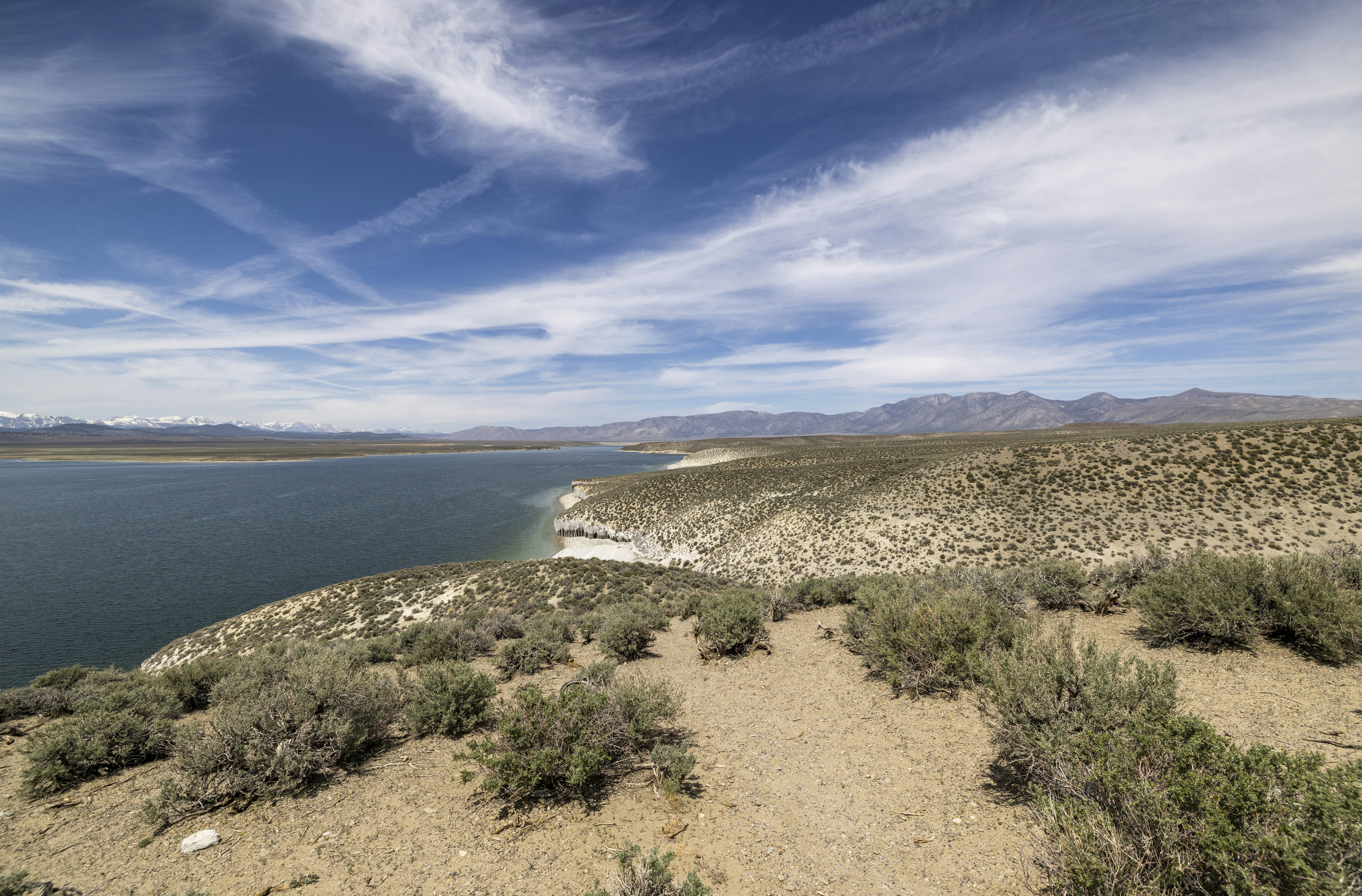 Photo by leo_visions_