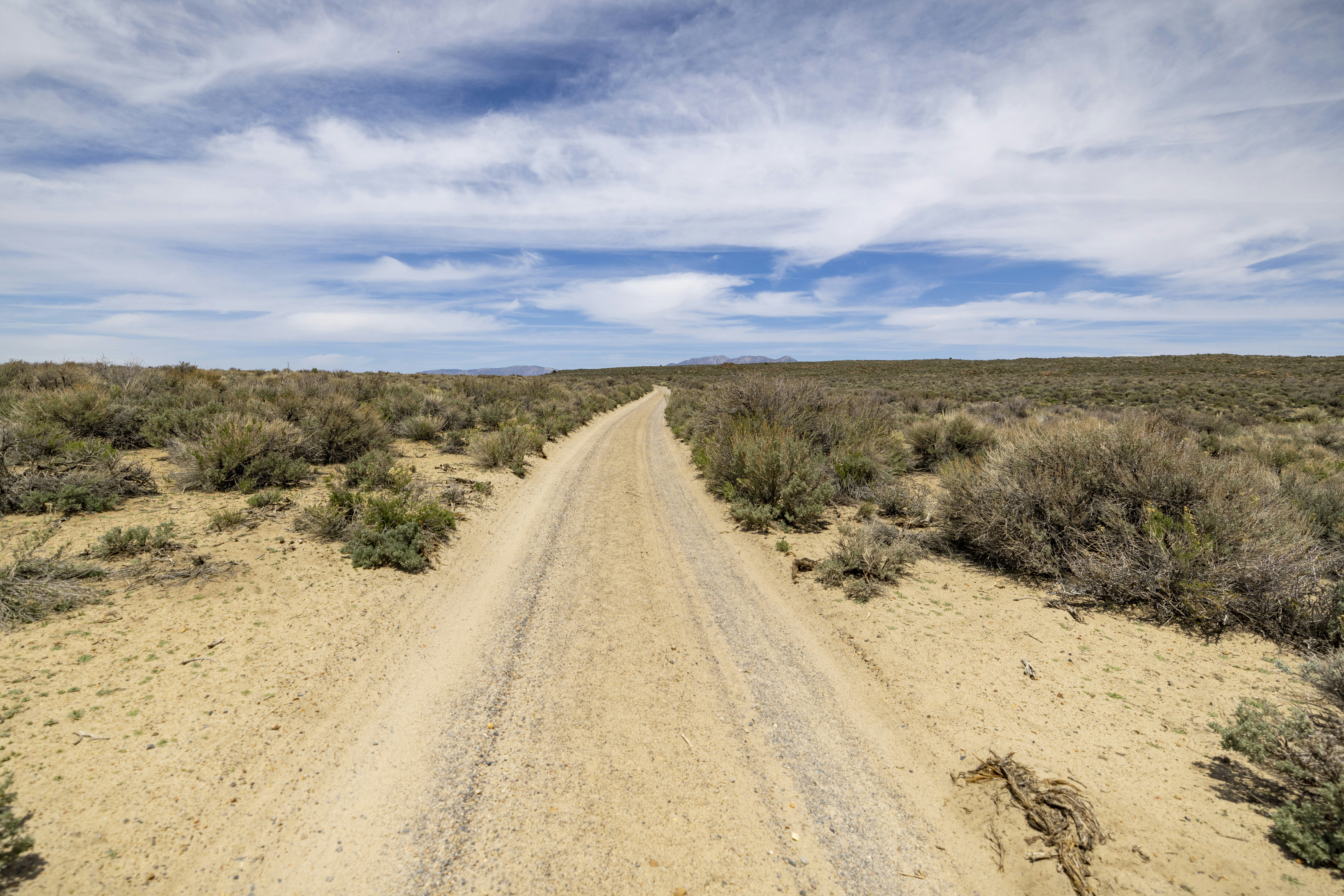 Photo by leo_visions_