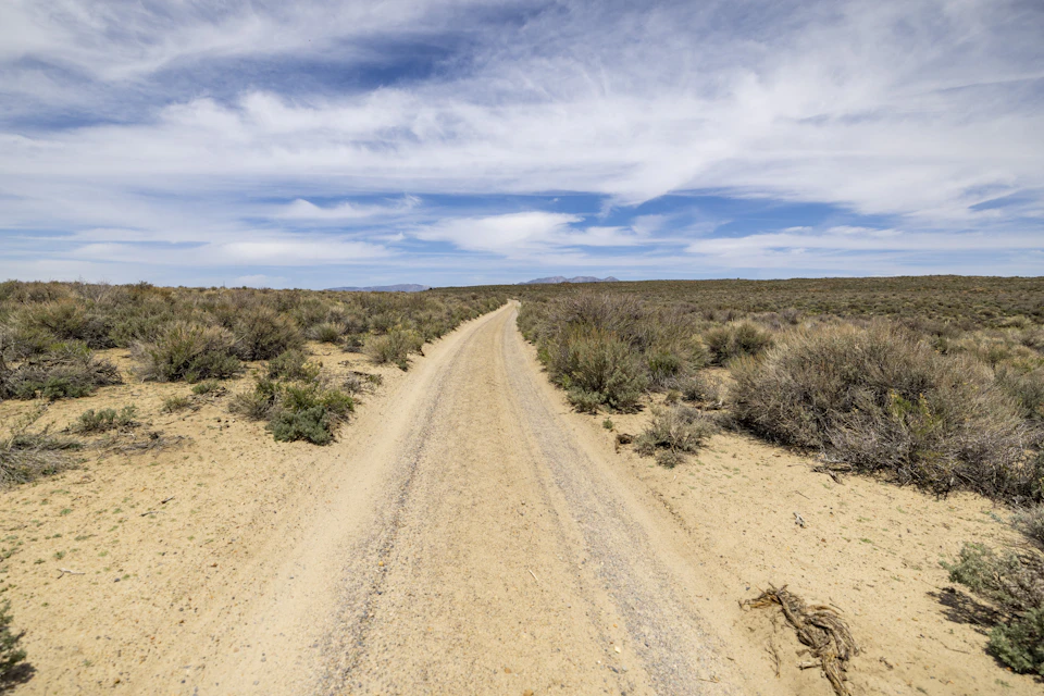 The image depicts a dirt road winding through a desert landscape, with sparse vegetation on either side and a clear blue sky overhead. The perspective is from above, providing a bird's eye view of the road and its surroundings. A small animal can be seen walking along the right side of the road, adding a sense of life to the otherwise barren scene.

The predominant colors in the image are shades of brown and green, with the dirt road being the most prominent feature. The clear blue sky provides a striking contrast against the earthy tones of the desert landscape.