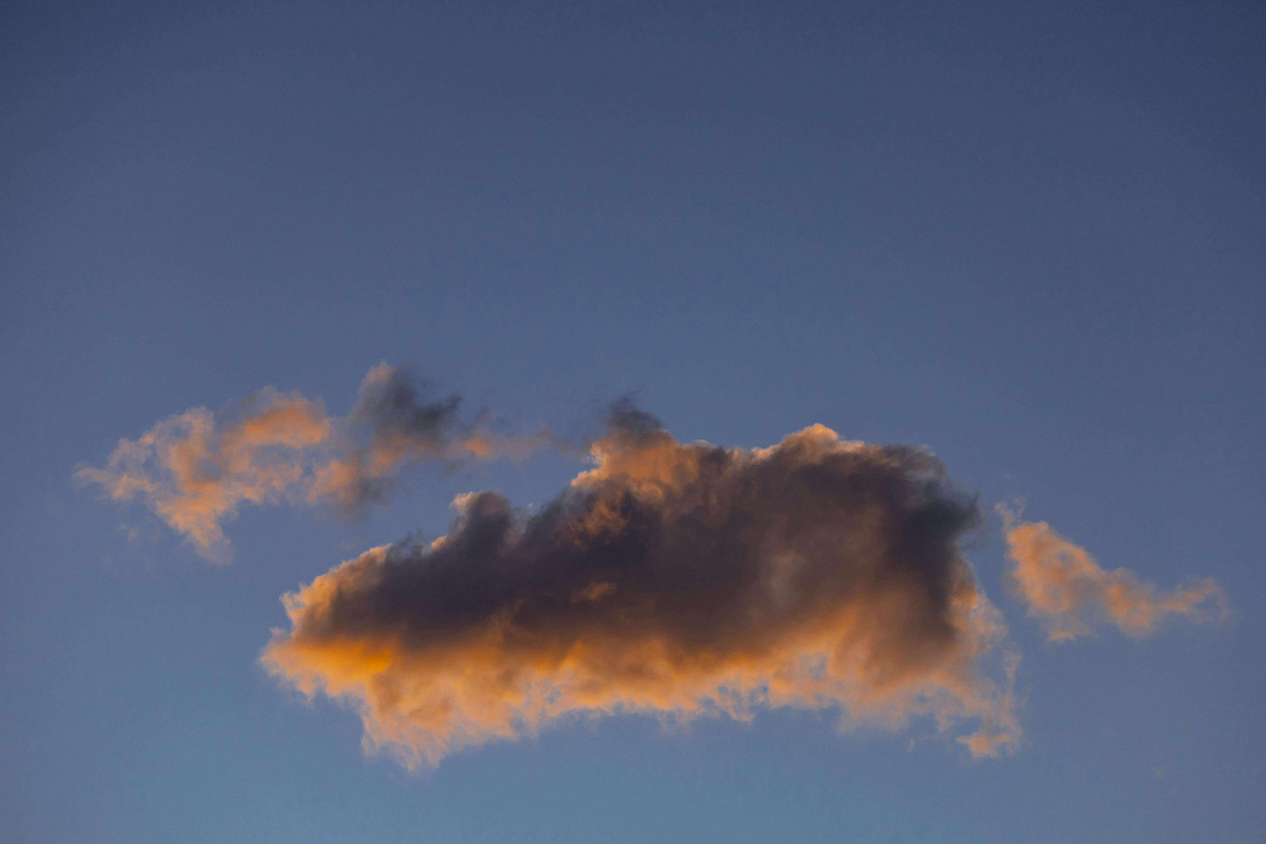 Photo by leo_visions_