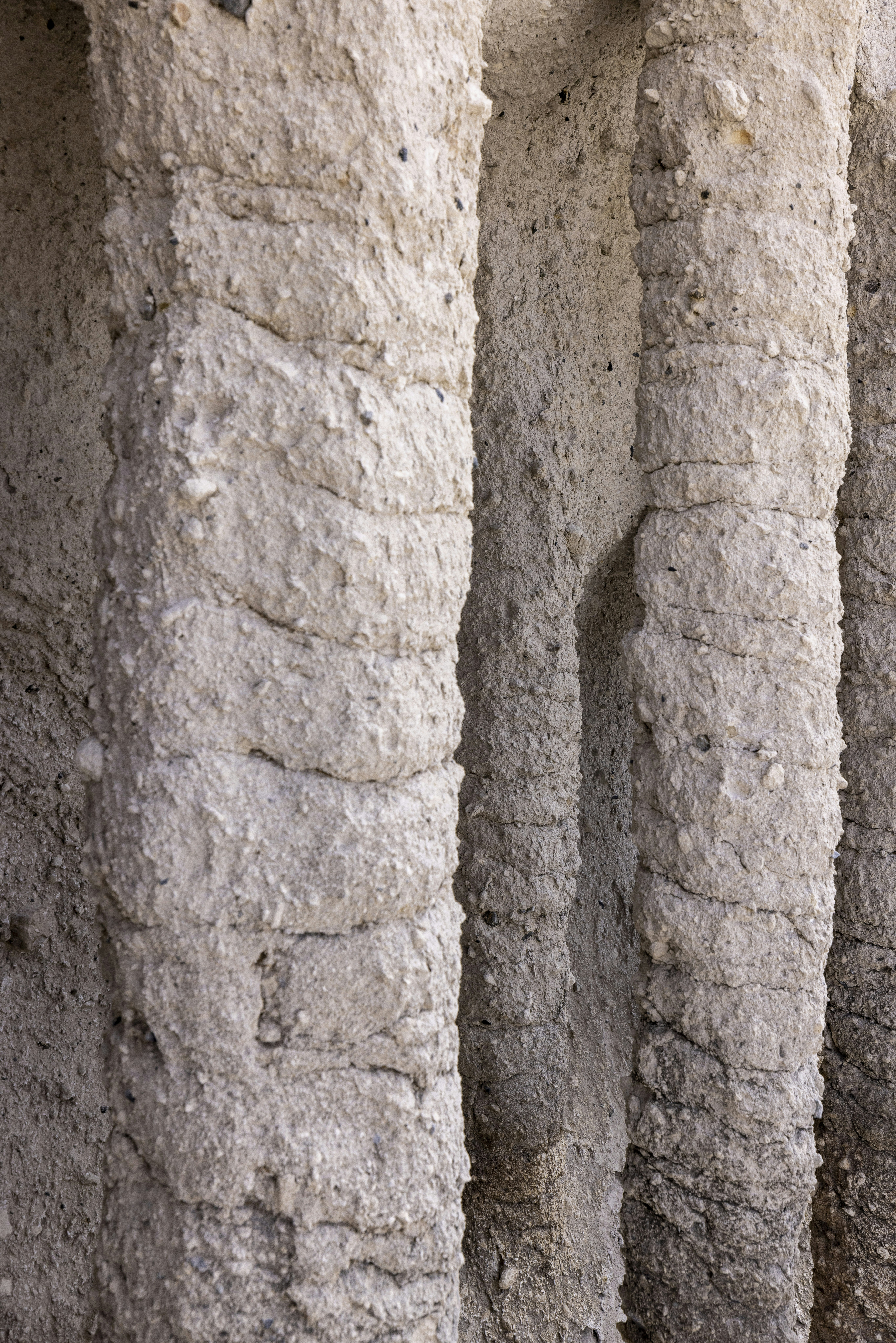 Photo by leo_visions_