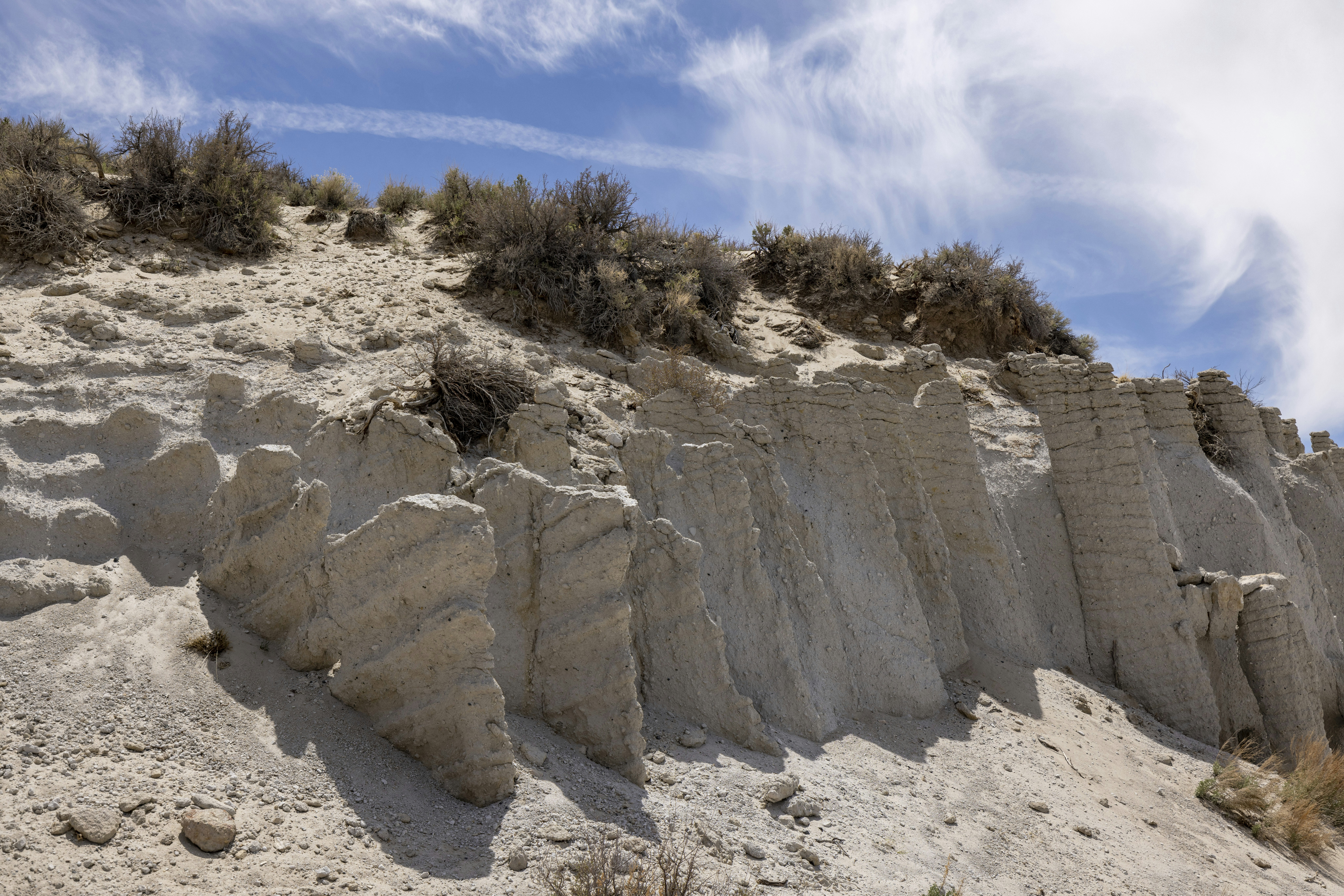 Photo by leo_visions_