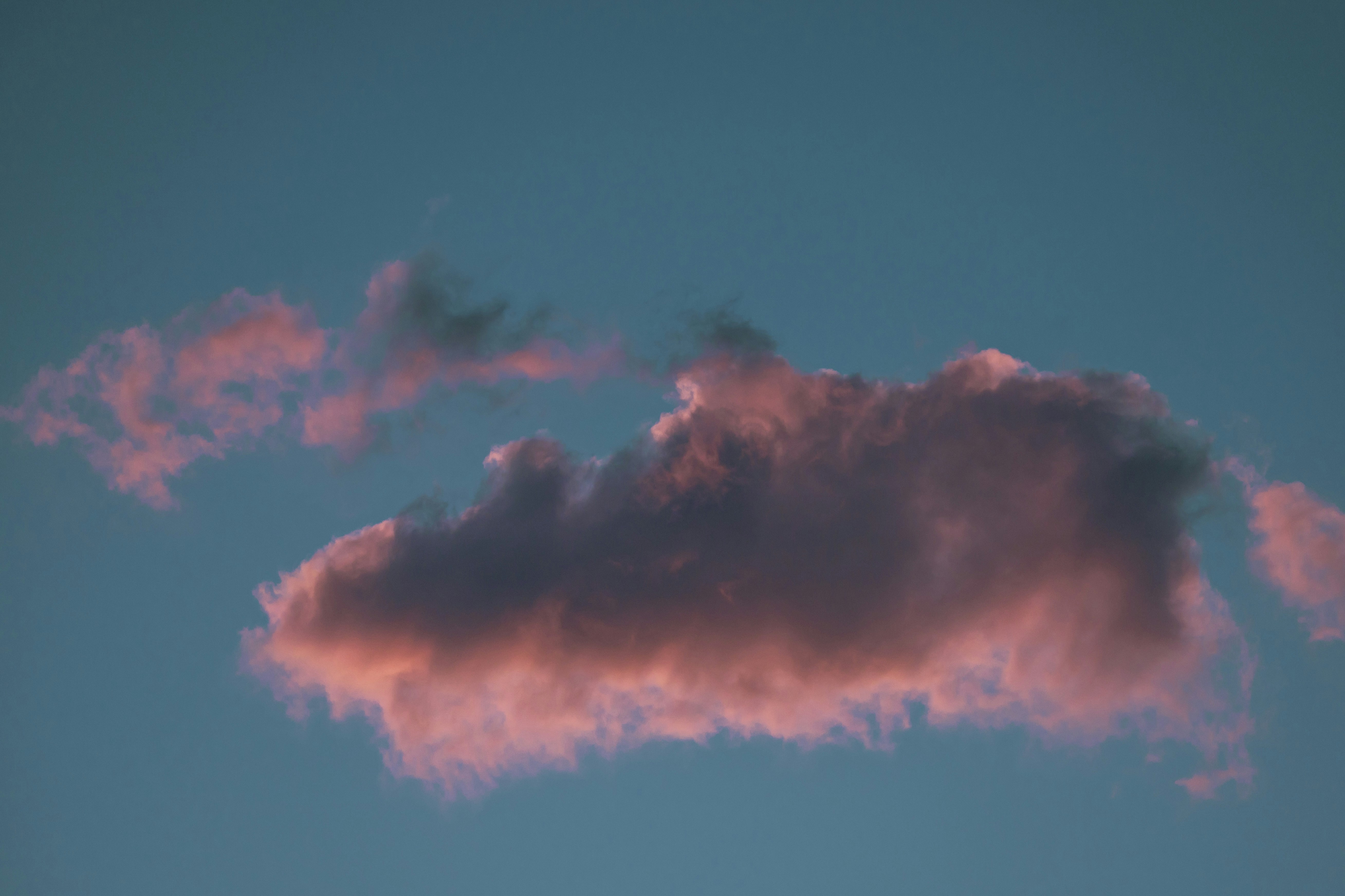 Photo by leo_visions_