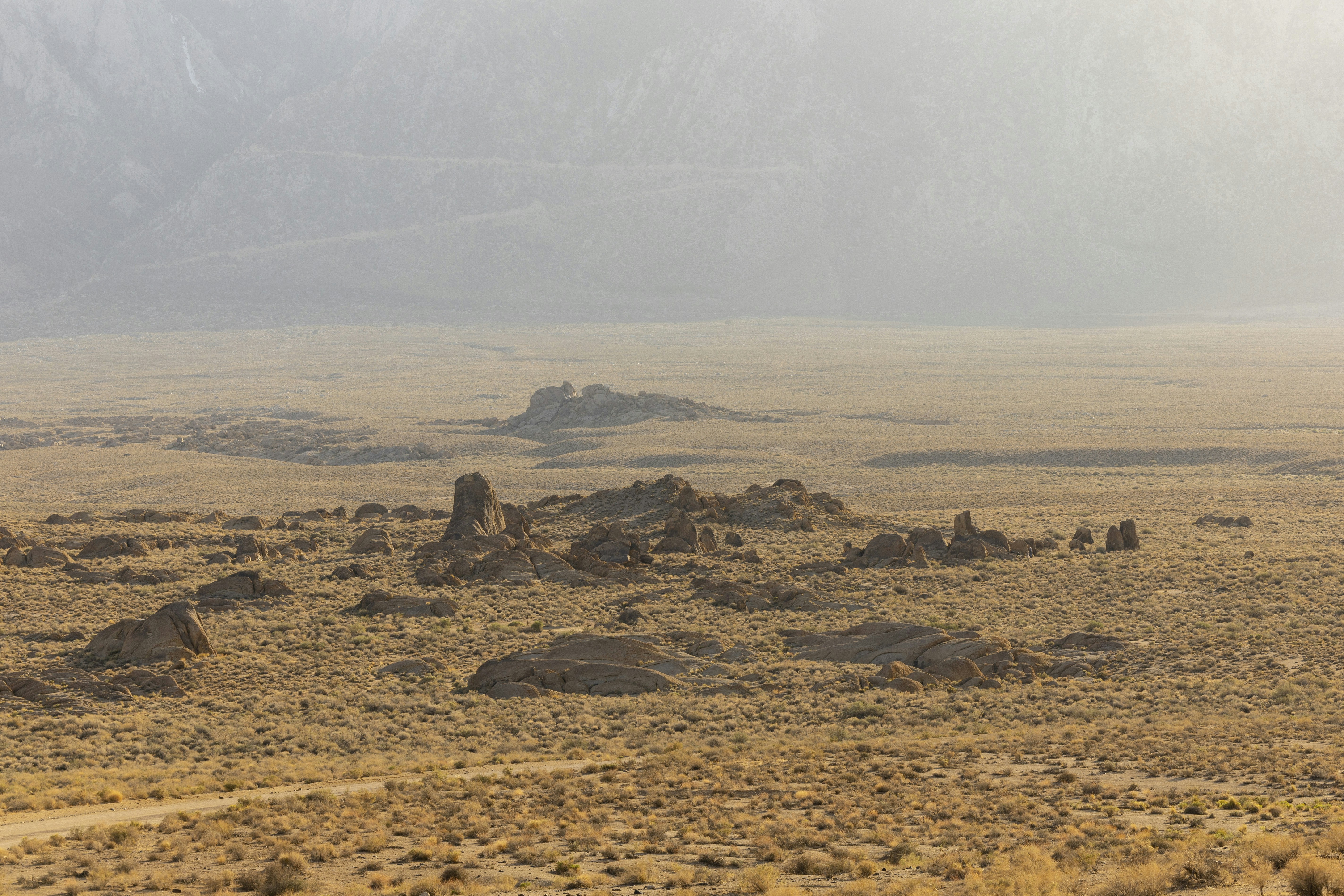 Photo by leo_visions_