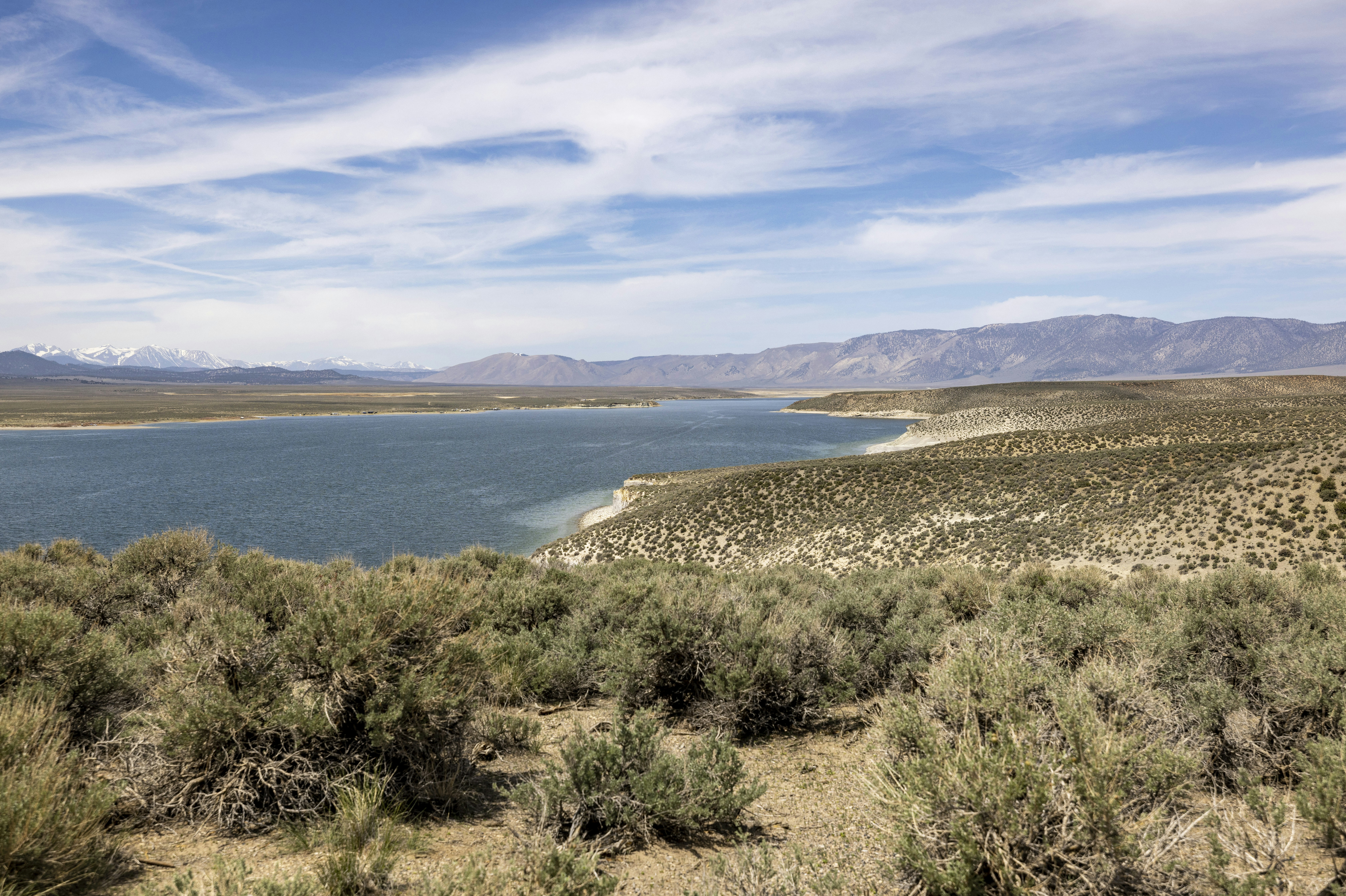 Photo by leo_visions_