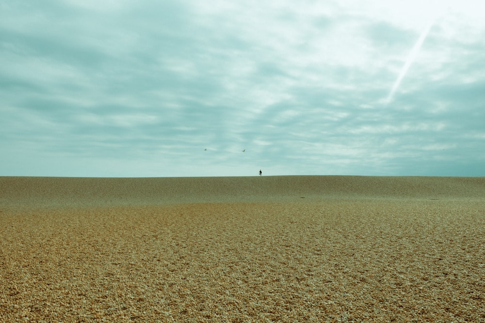 a person standing in the middle of a desert