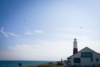 A lighthouse stands near a restaurant called Lobster Pot along the coastline. The sky is clear with a few clouds, and the sea is visible to the left. Several people are gathered near the restaurant and the shore. Seagulls are flying above, adding to the coastal scene.