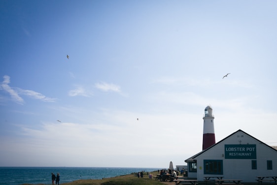 A lighthouse stands near a restaurant called Lobster Pot along the coastline. The sky is clear with a few clouds, and the sea is visible to the left. Several people are gathered near the restaurant and the shore. Seagulls are flying above, adding to the coastal scene.