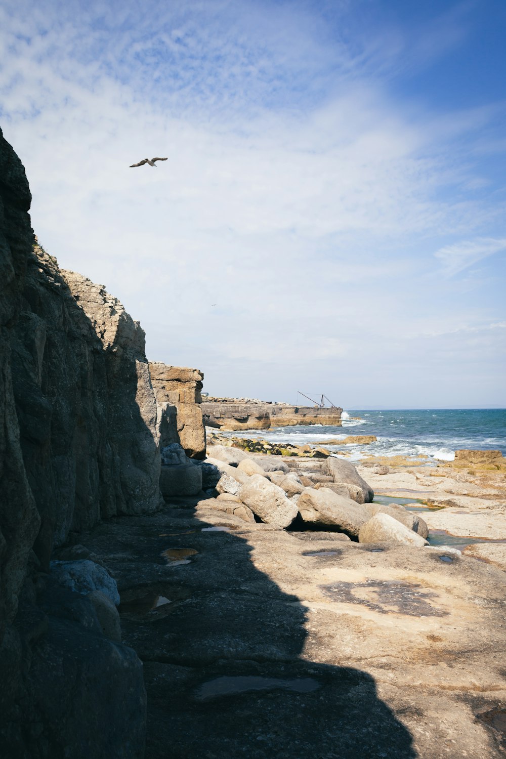 a bird flying over a rocky beach next to the ocean