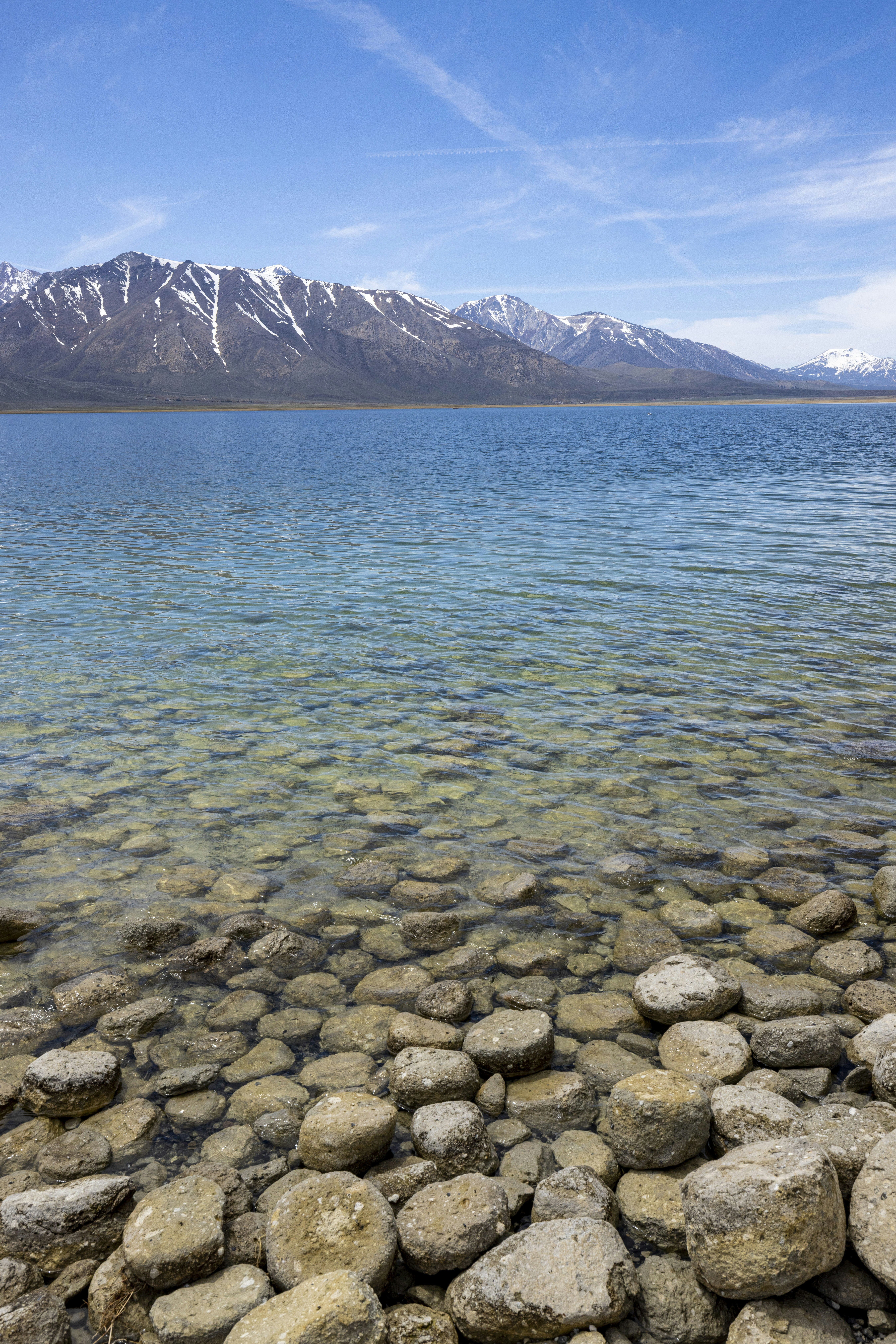 Photo by leo_visions_