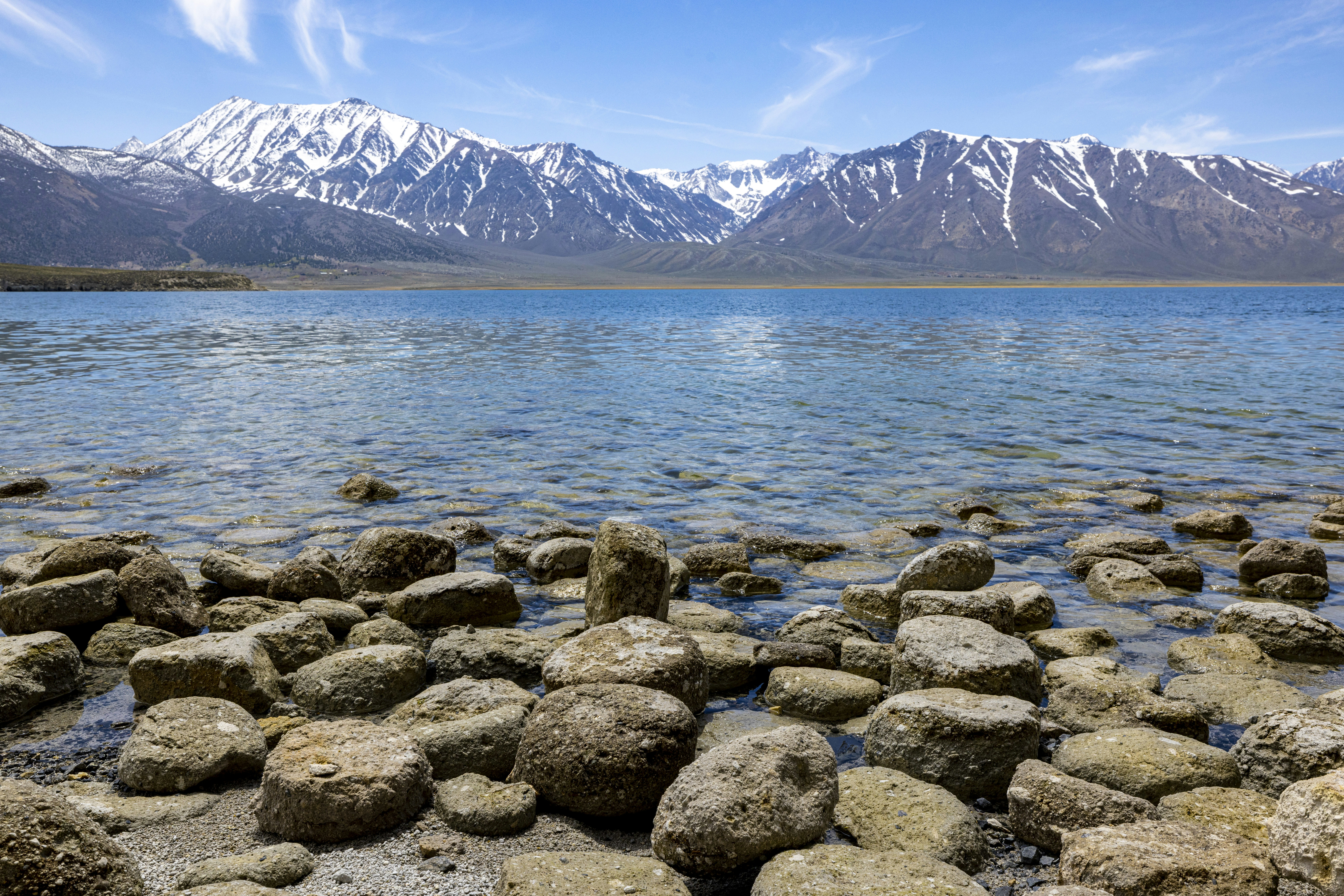 Photo by leo_visions_