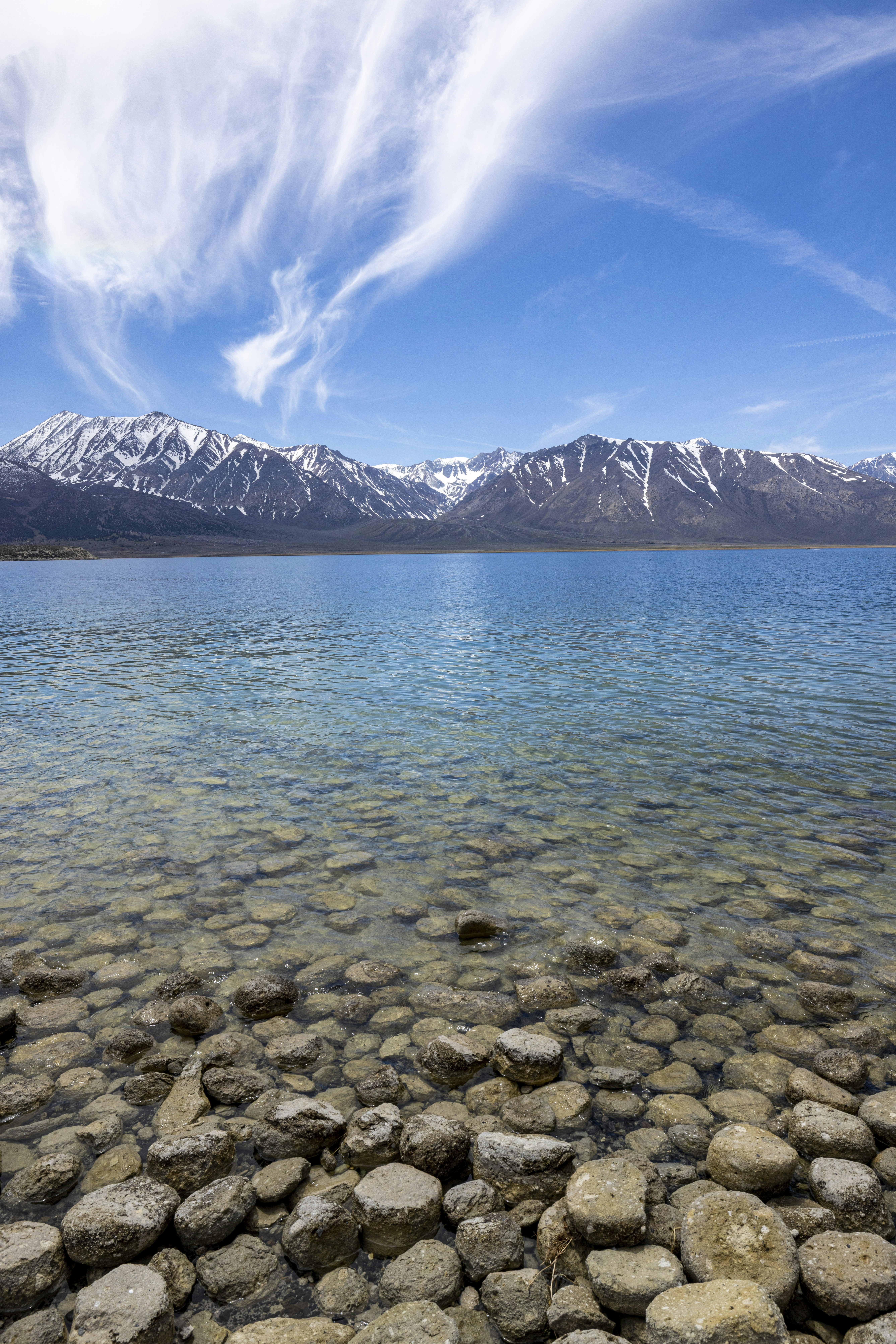 Photo by leo_visions_