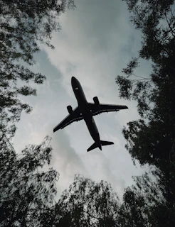 an airplane is flying through the sky above the trees