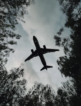 an airplane is flying through the sky above the trees